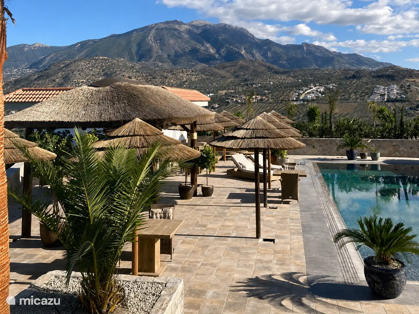 Zwembad met poolbar