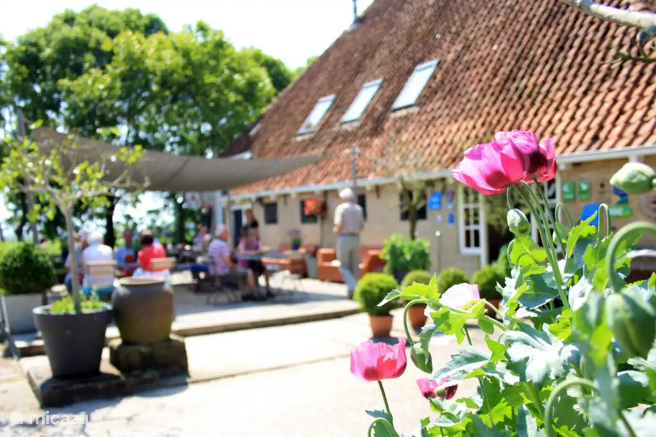 Terrasse ensoleillée à la ferme et restaurant WeidumerHout