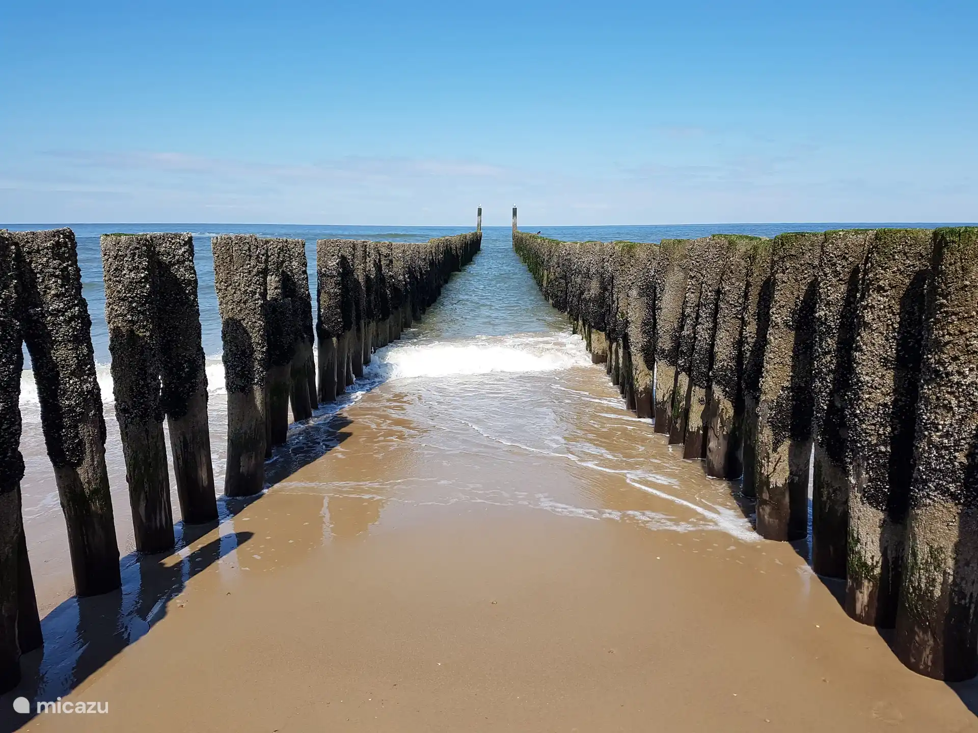 Polders en strand