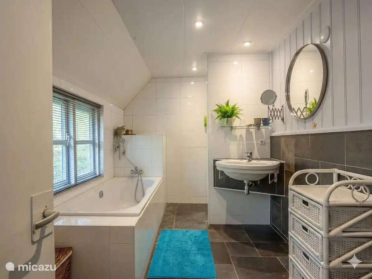 Salle de bain avec baignoire