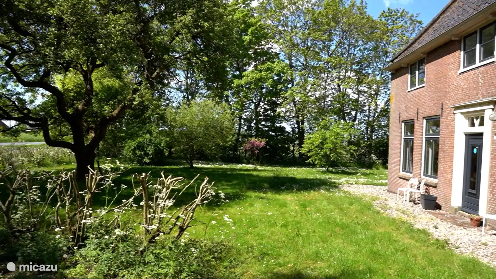 Jardin vert sur le côté du Voorhuis