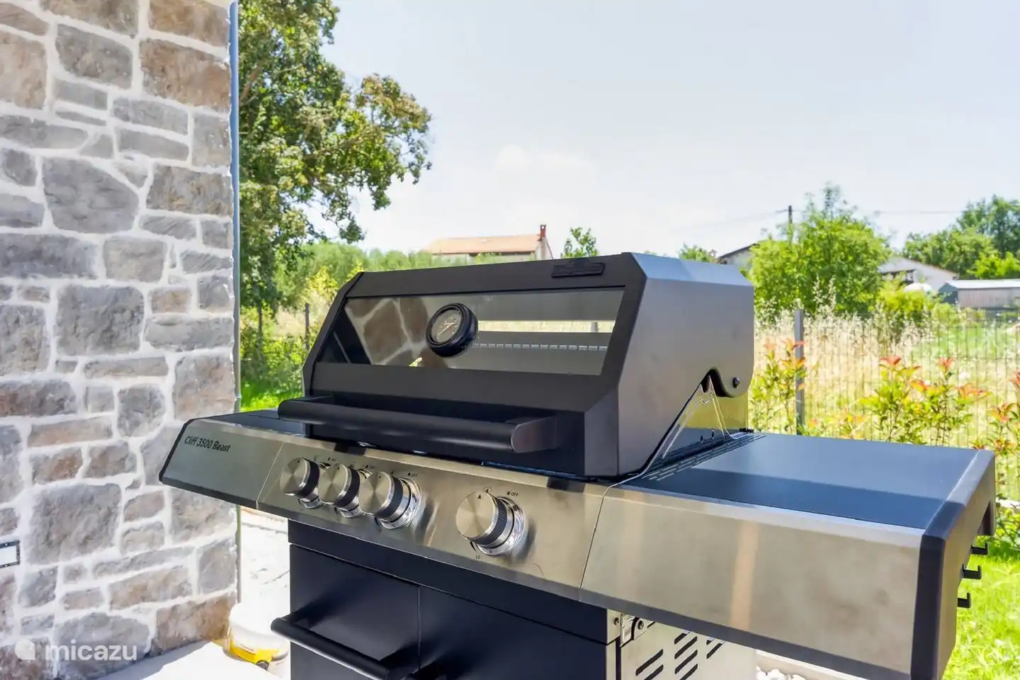 bbq