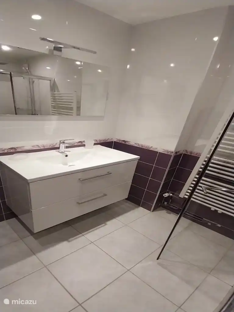 Licht toilette met een hangende dubbele wasbak en een grote spiegel.