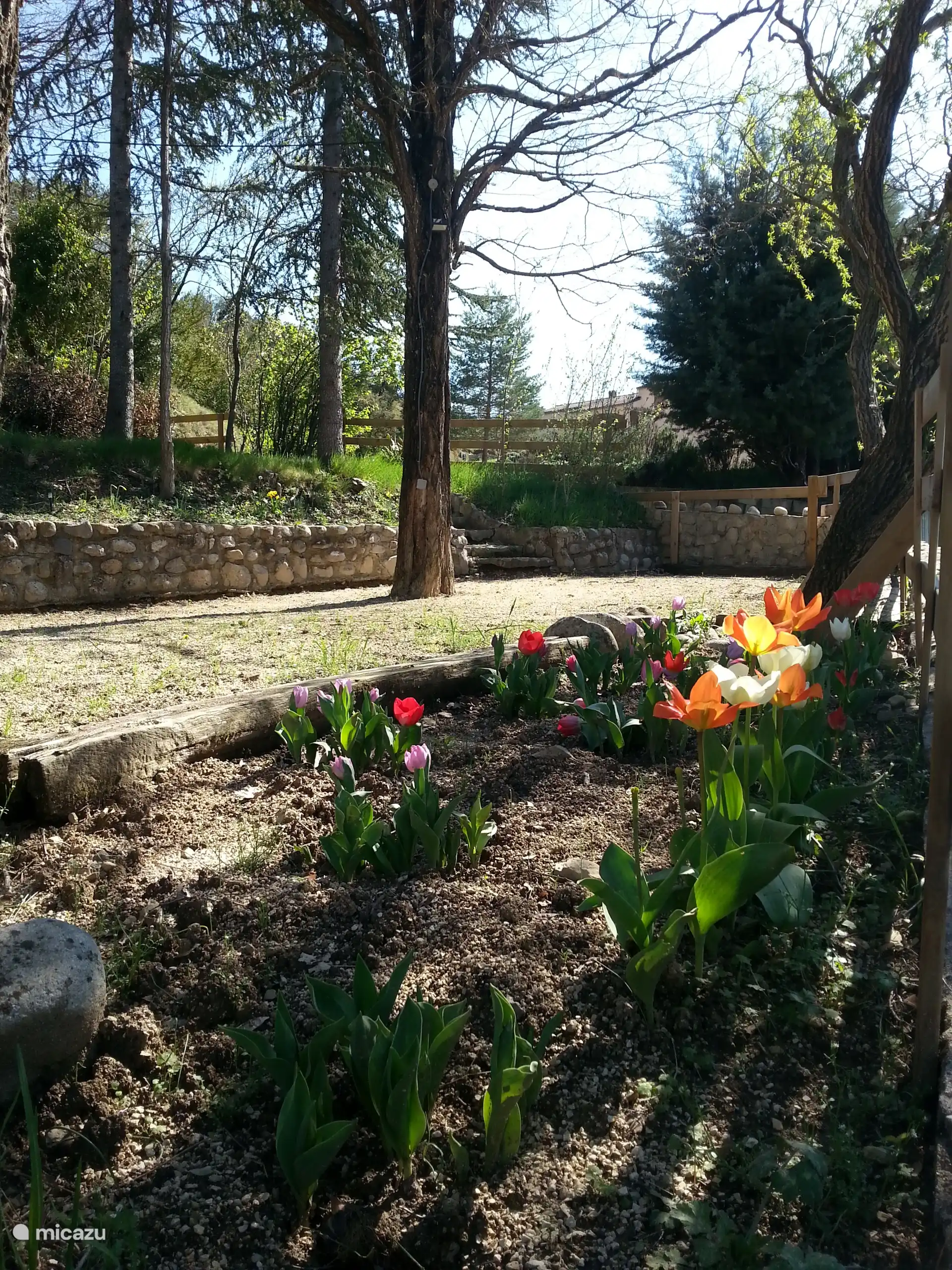 Groene tuin met een petanque-hof en een bed kleurrijke tulpen aan de voet van een lage stenen muur.