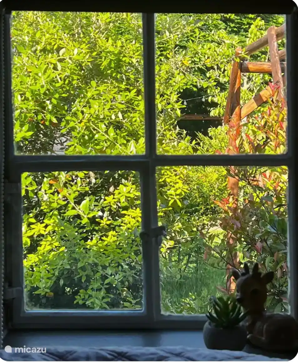 Uitzicht vanuit woon/slaapdeelte