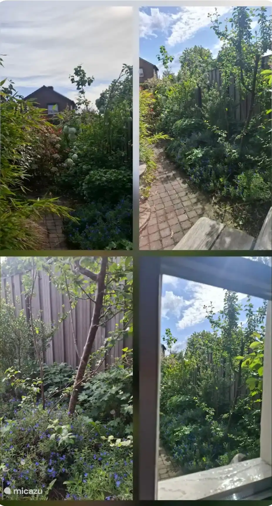 Uitzicht voor vanuit de Cottage. 