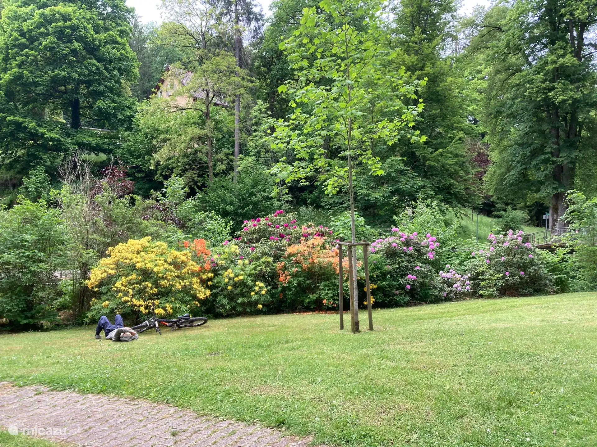 Der Spa-Park beginnt direkt unter der Wohnung. Es ist in jeder Jahreszeit wunderschön.