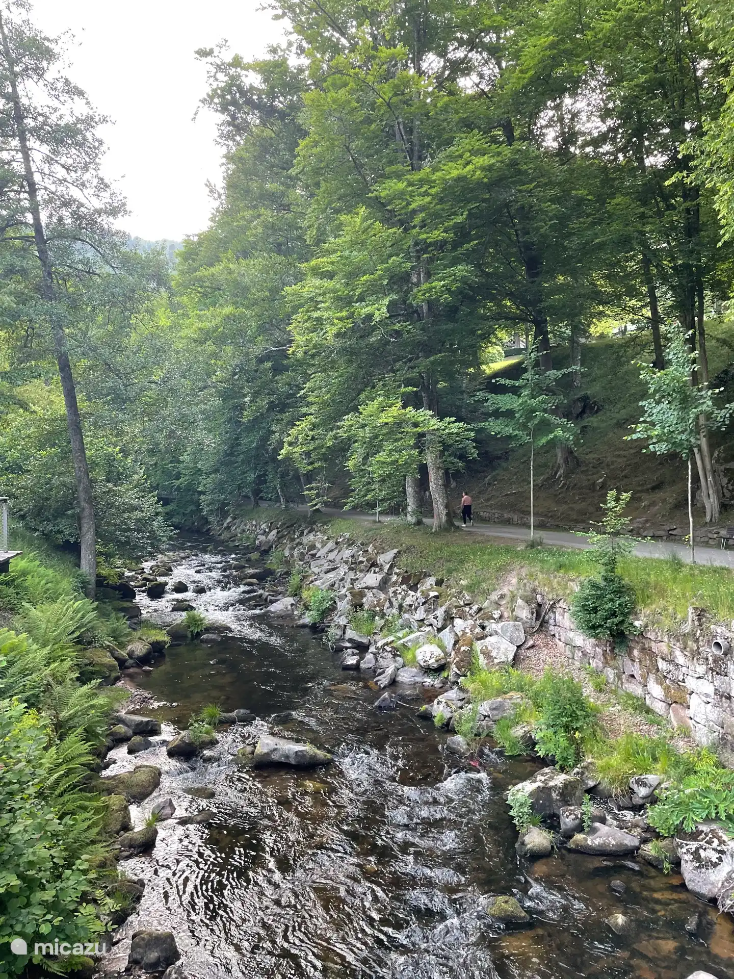 Der Spa-Park ist nur vier Gehminuten entfernt. Wenn Sie hindurchgehen und dem Fluss Enz folgen, gelangen Sie in die Stadt.