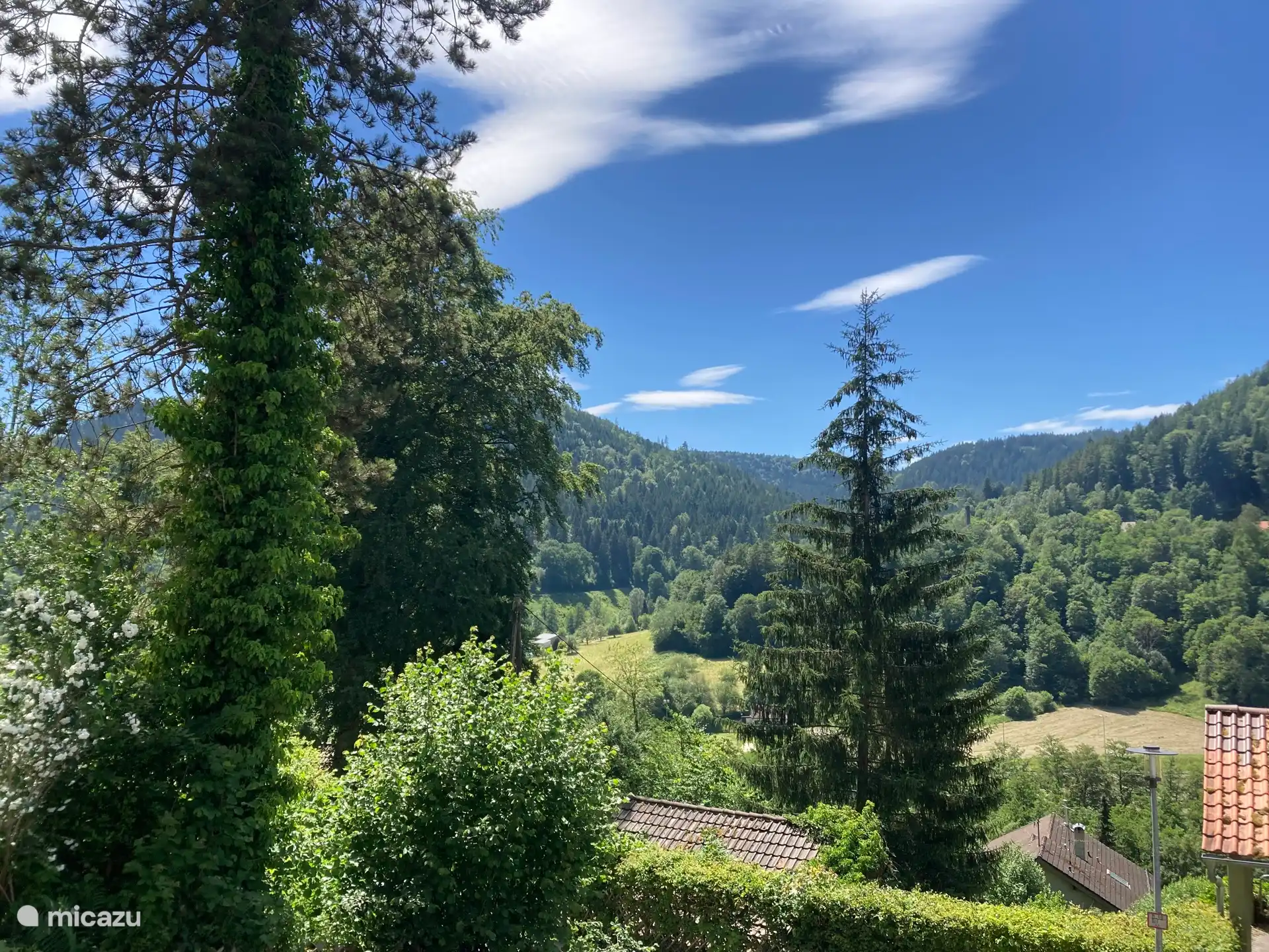 Ich liebe diese wunderschöne Aussicht vom Balkon.