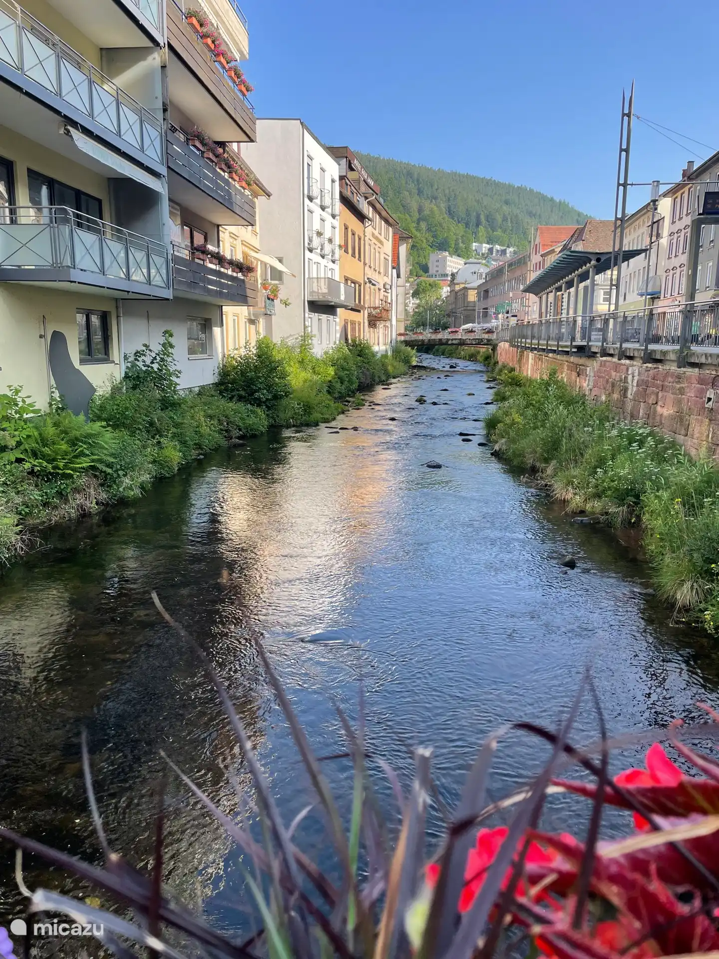 Der Spa-Park ist nur vier Gehminuten entfernt. Wenn Sie hindurchgehen und dem Fluss Enz folgen, gelangen Sie in die Stadt.
