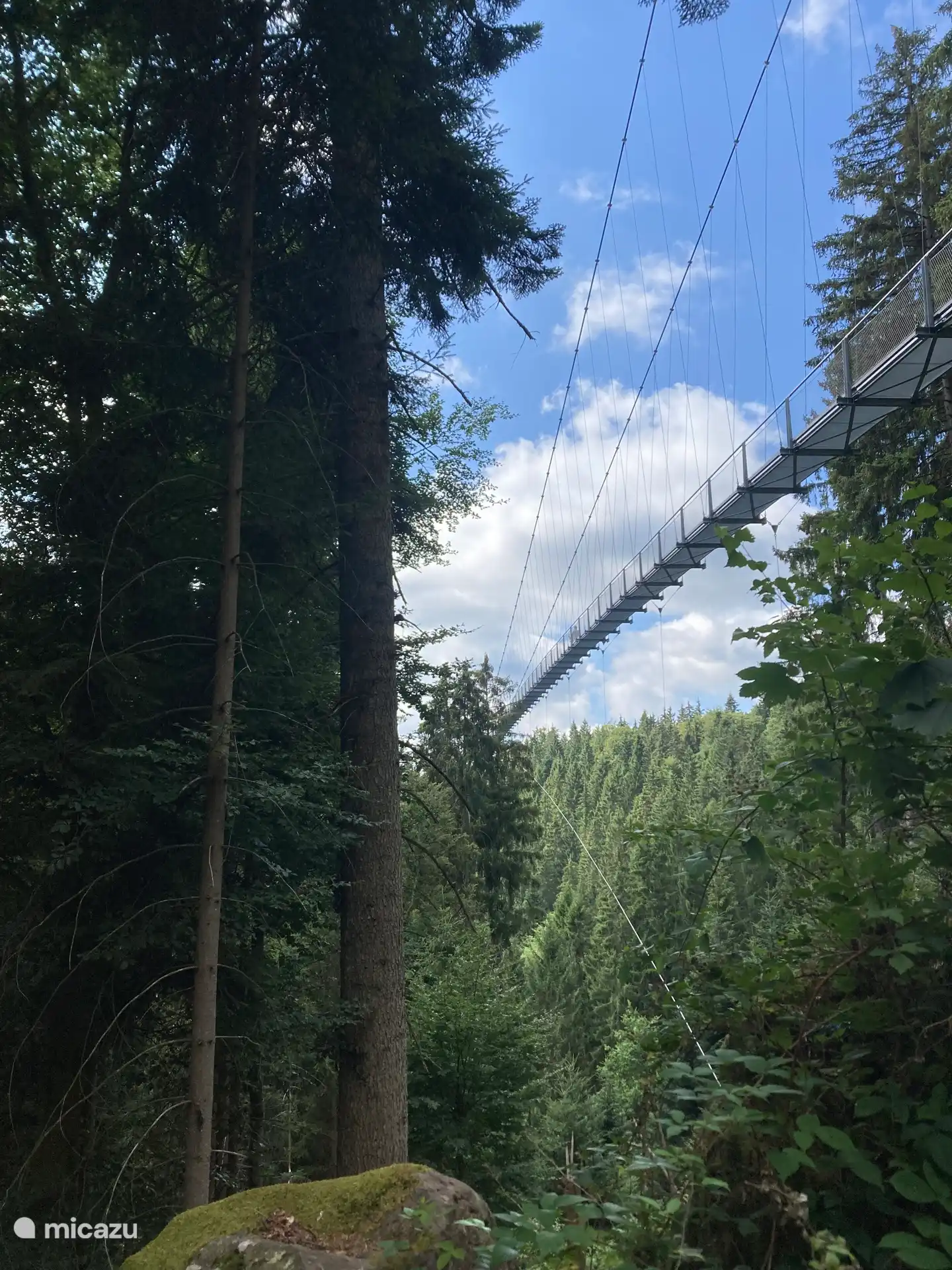 Das ist die Wildline; Man kann es sogar vom Wohnzimmer aus sehen!