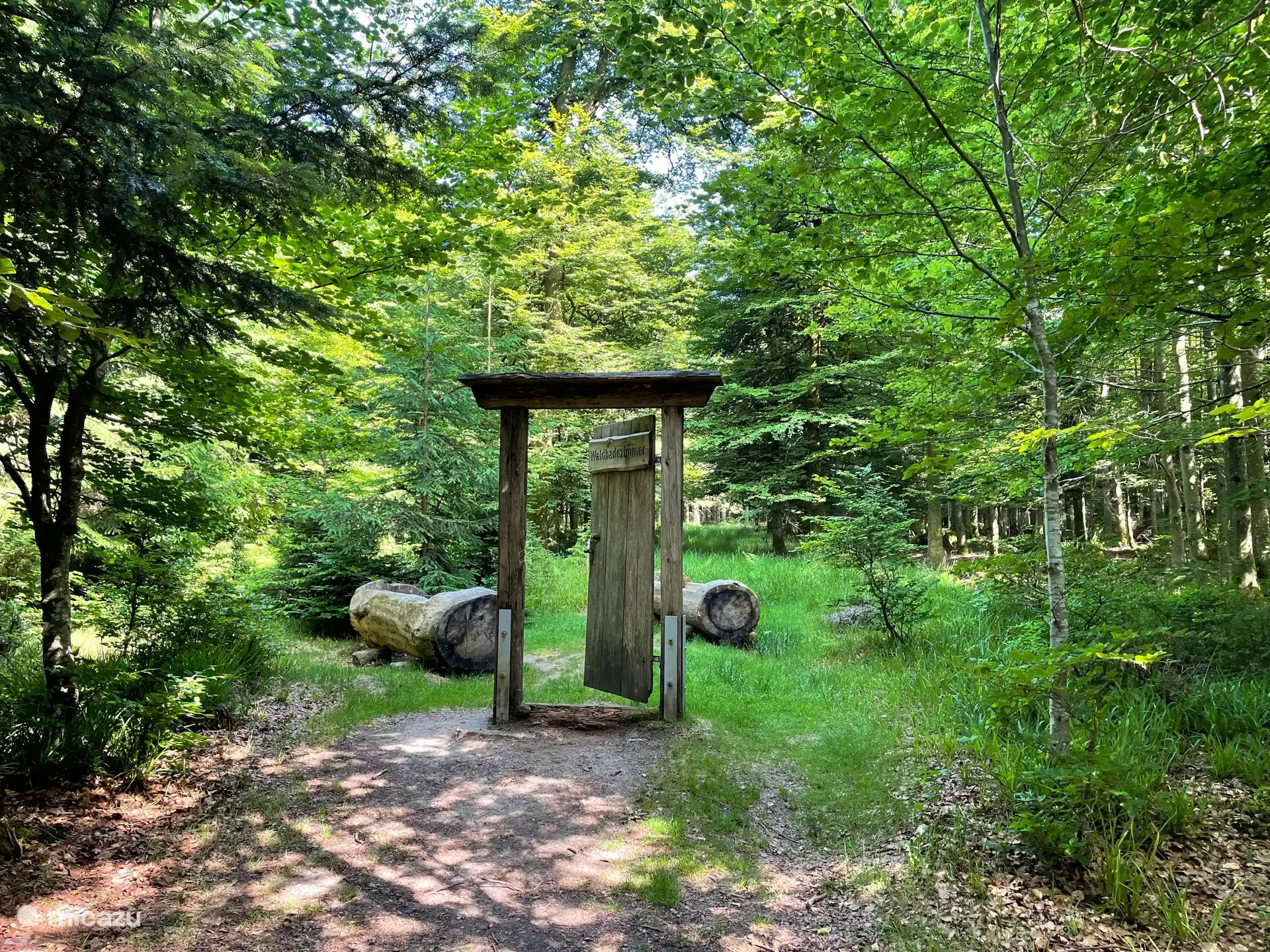 Man kann an mehr Stellen schwimmen als nur in den Thermalbädern: Es gibt auch ein Waldbecken (auf dem Sommerberg).