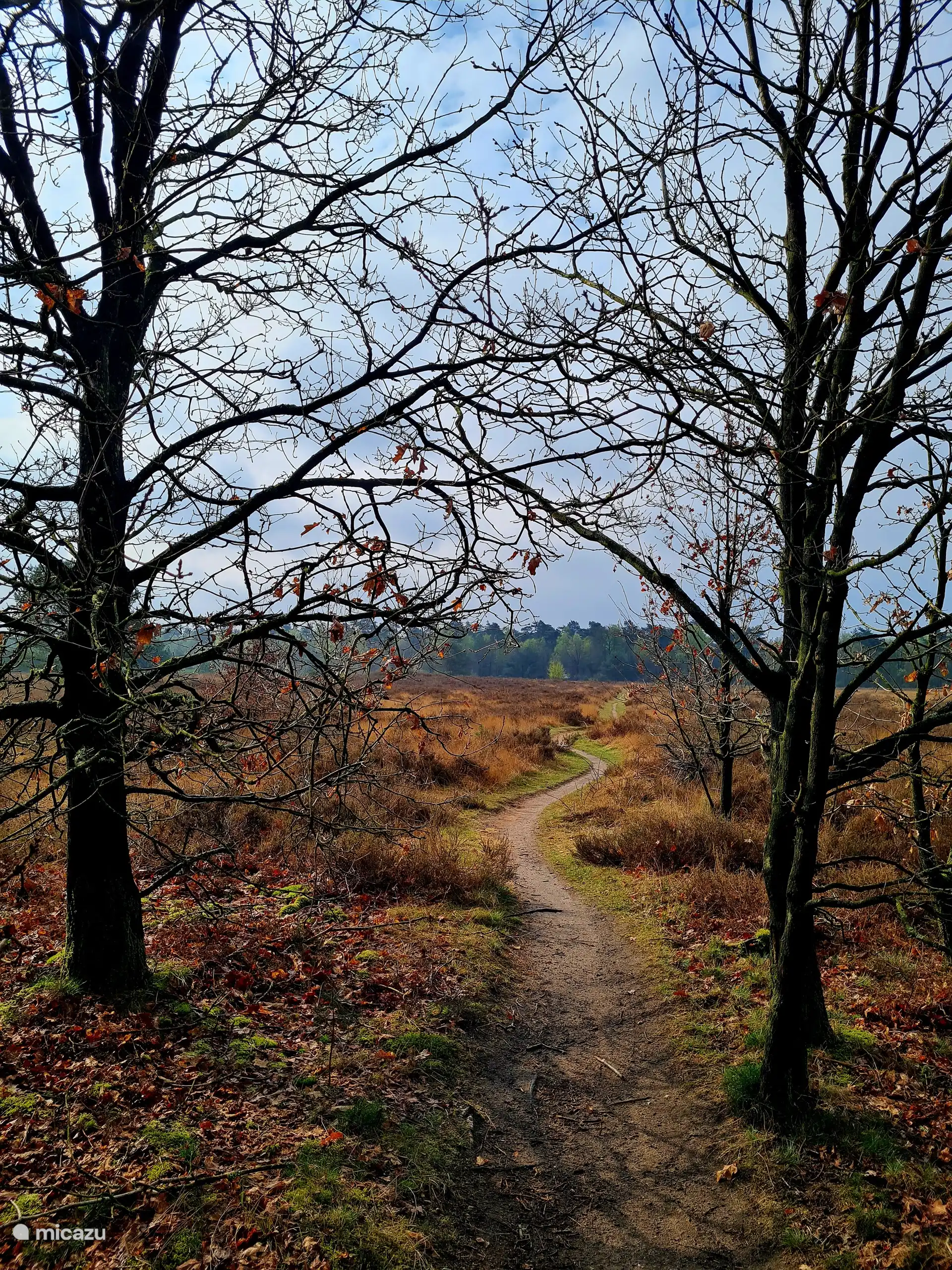 Heide De Grote Ark