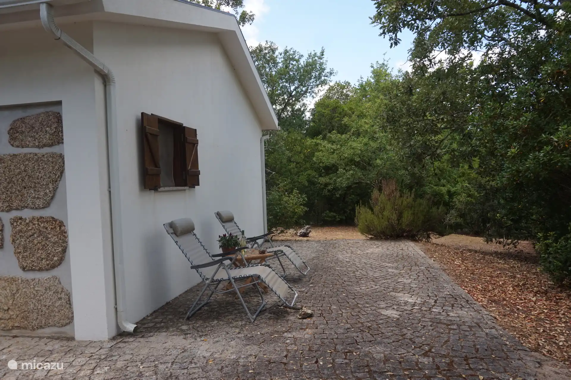 Ein kostenloser und grüner Ort mit viel Ruhe und Natur rund um das Ferienhaus