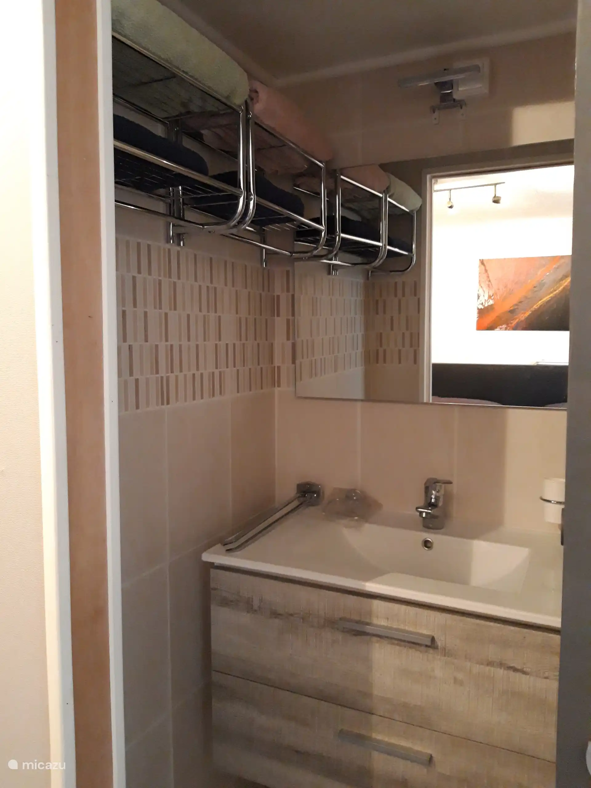 De kleine, maar complete badkamer met douche en wastafel