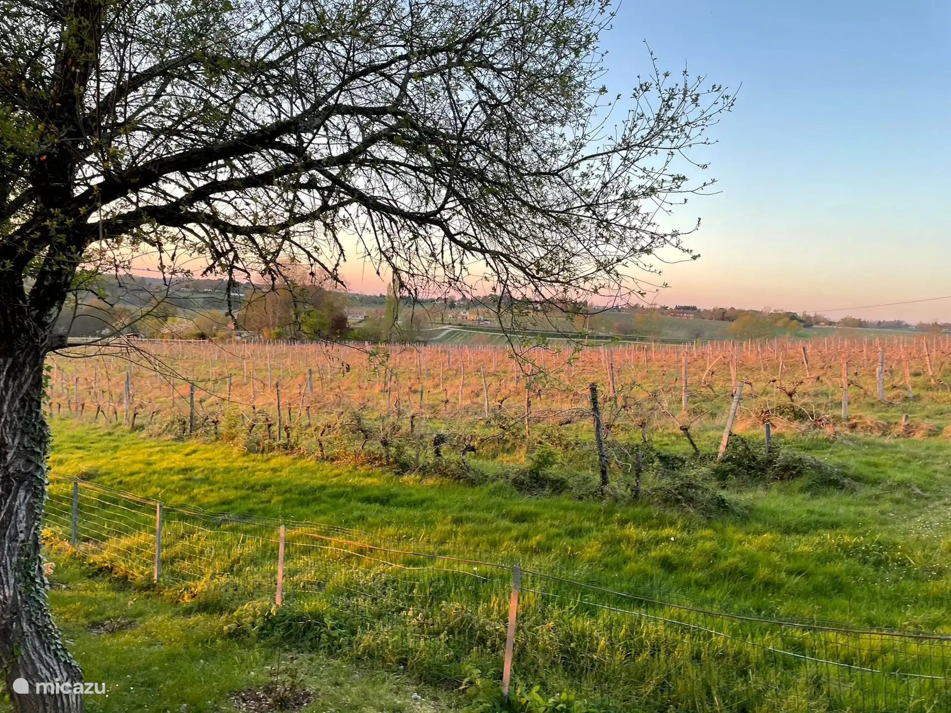 Het uitzicht met de mooiste zonsondergangen, vanaf de schommelbank