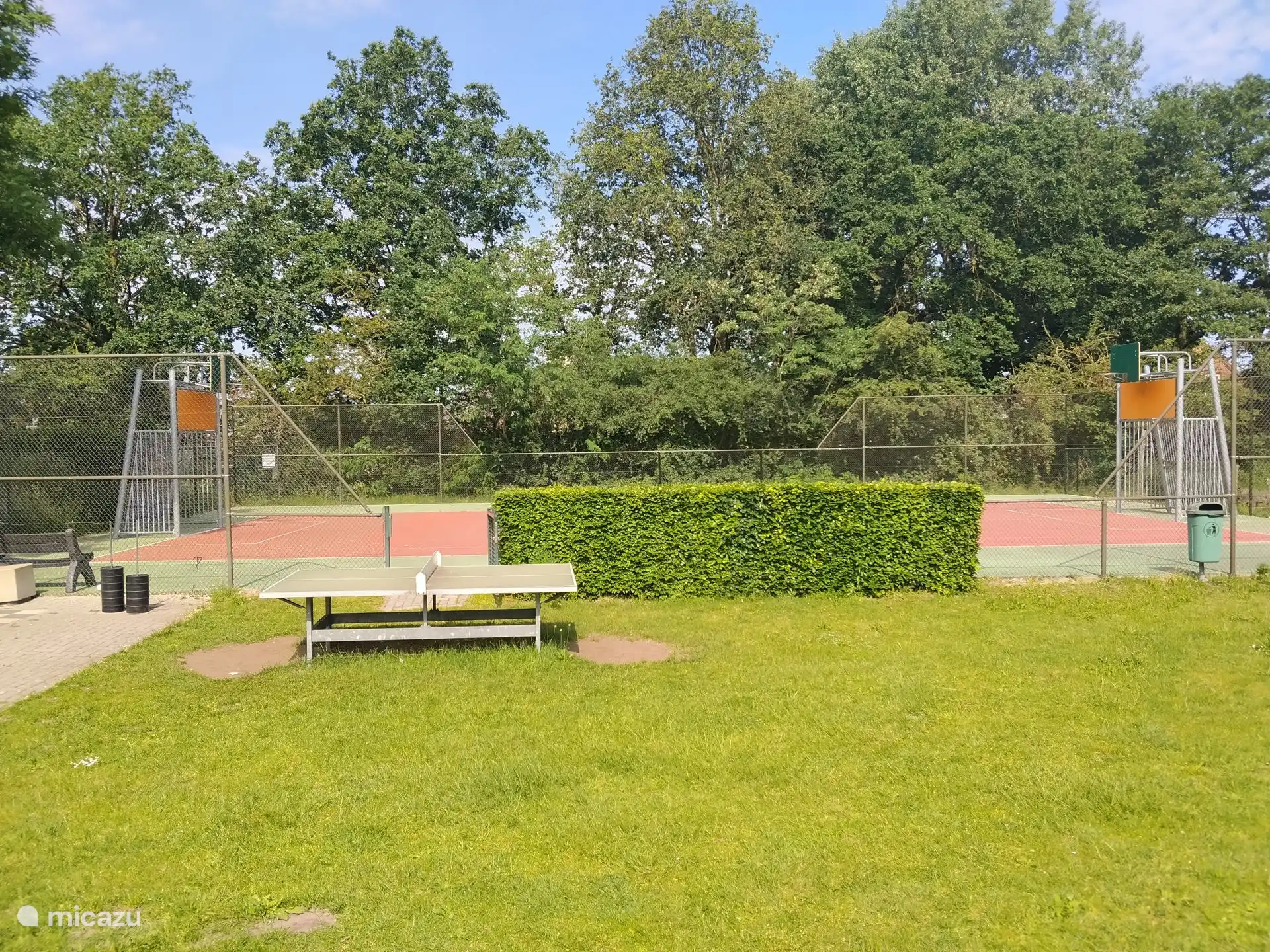 Speelveld