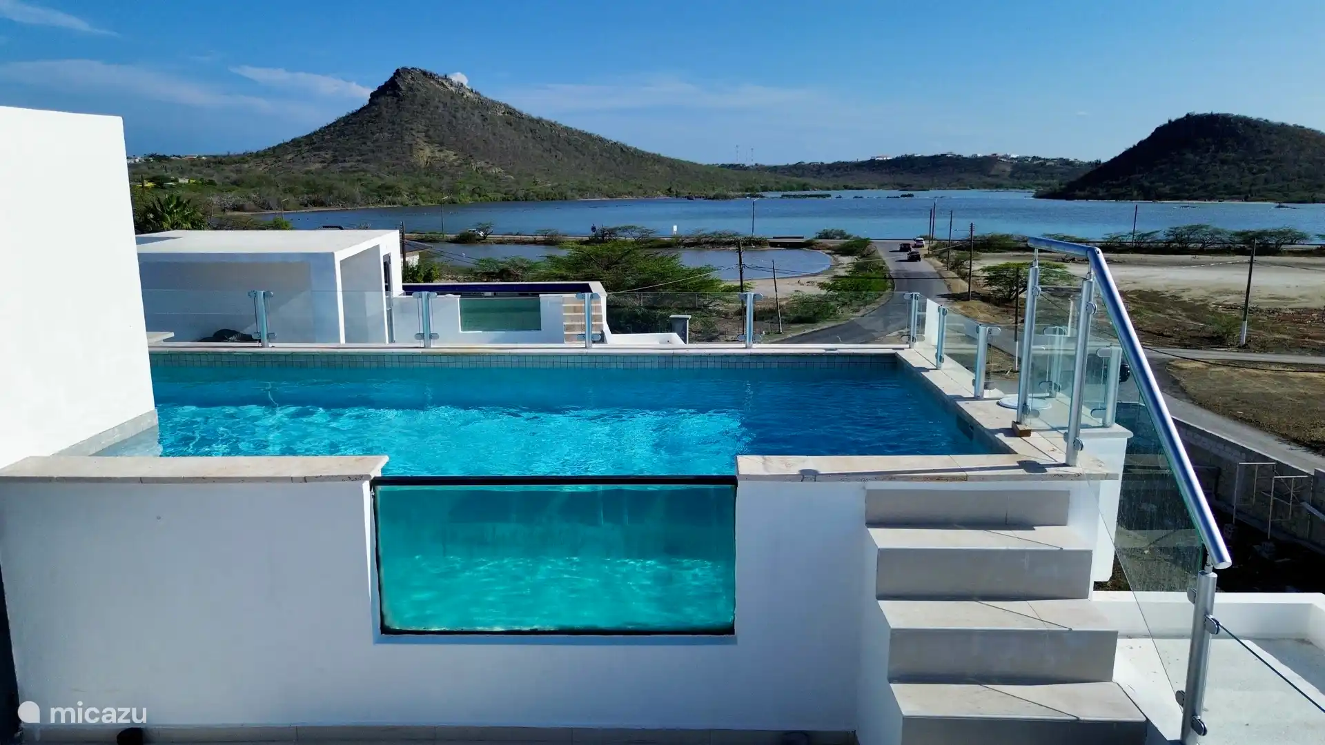 Rooftop pool overlooking Flamingo Habitat