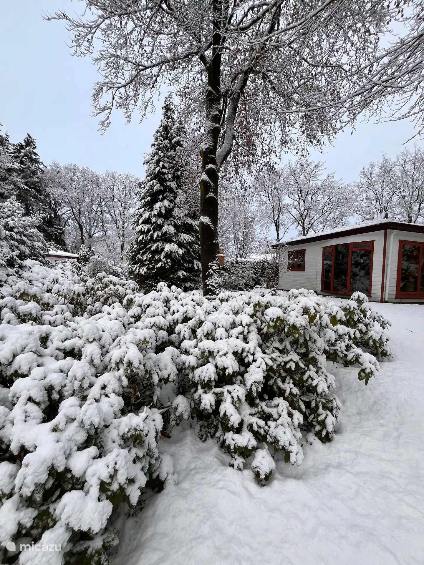 C’est aussi merveilleux de rester en hiver ! Quelle image !