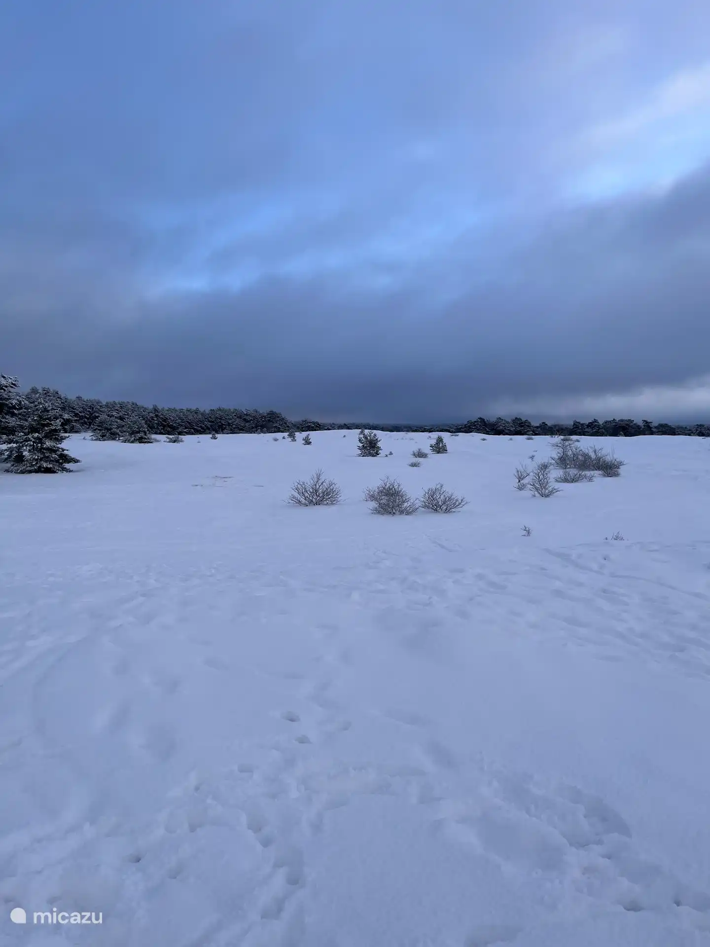 Le Kootwijkerzand s’est transformé en un pays des merveilles hivernal. 