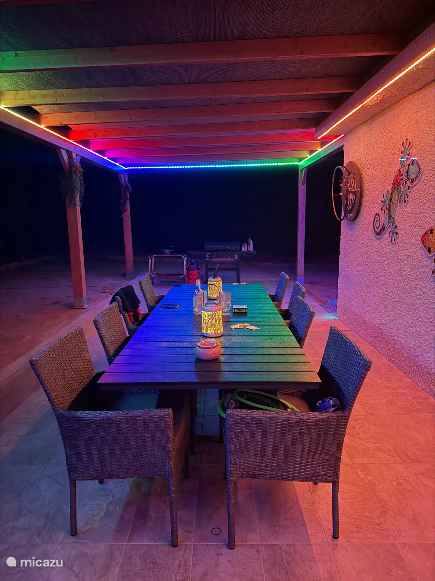 Achterterras met tafel voor 10 personen, dartbord en barbecue