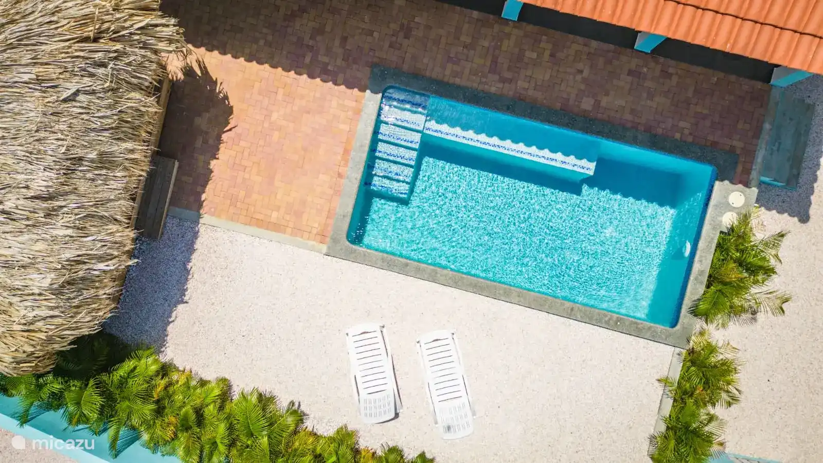 Bovenaanzicht zwembad, tuin en palapa - Palm Oasis