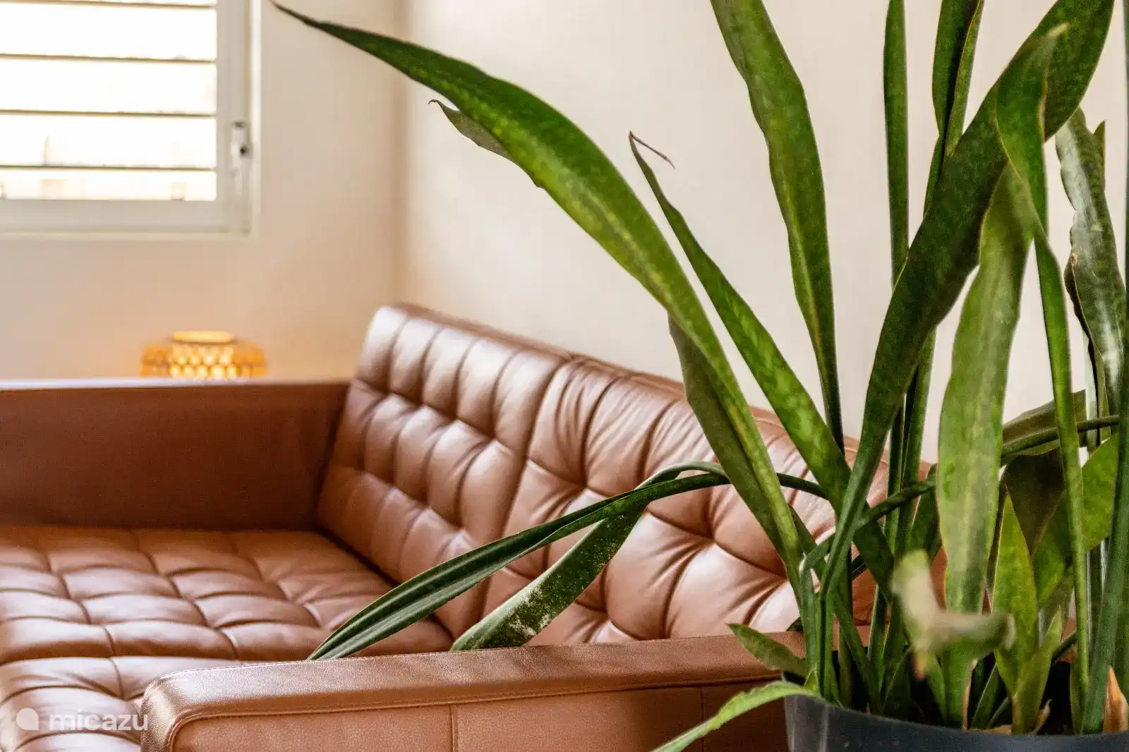 Woonkamer - Palm Oasis