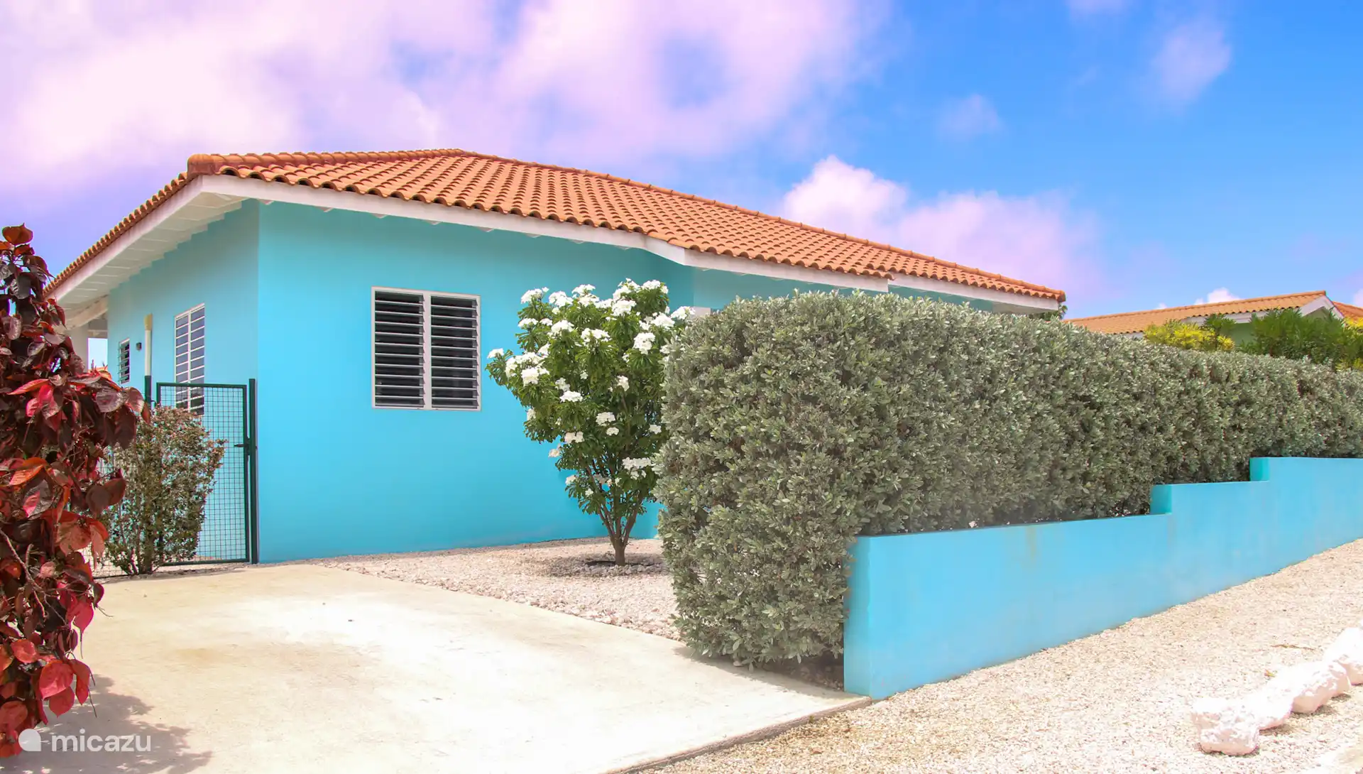 Tropische tuin - Palm Oasis