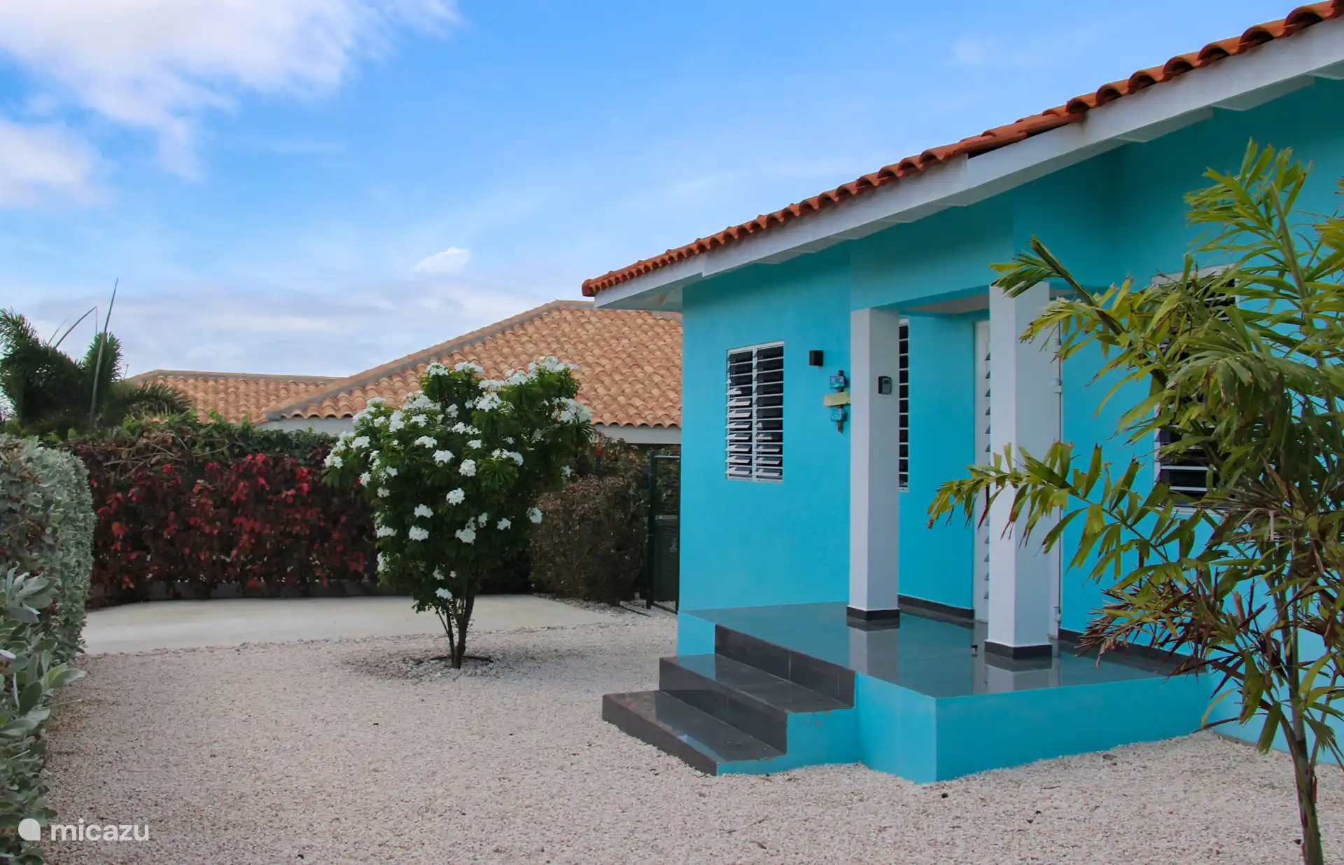 Tropische tuin - Palm Oasis