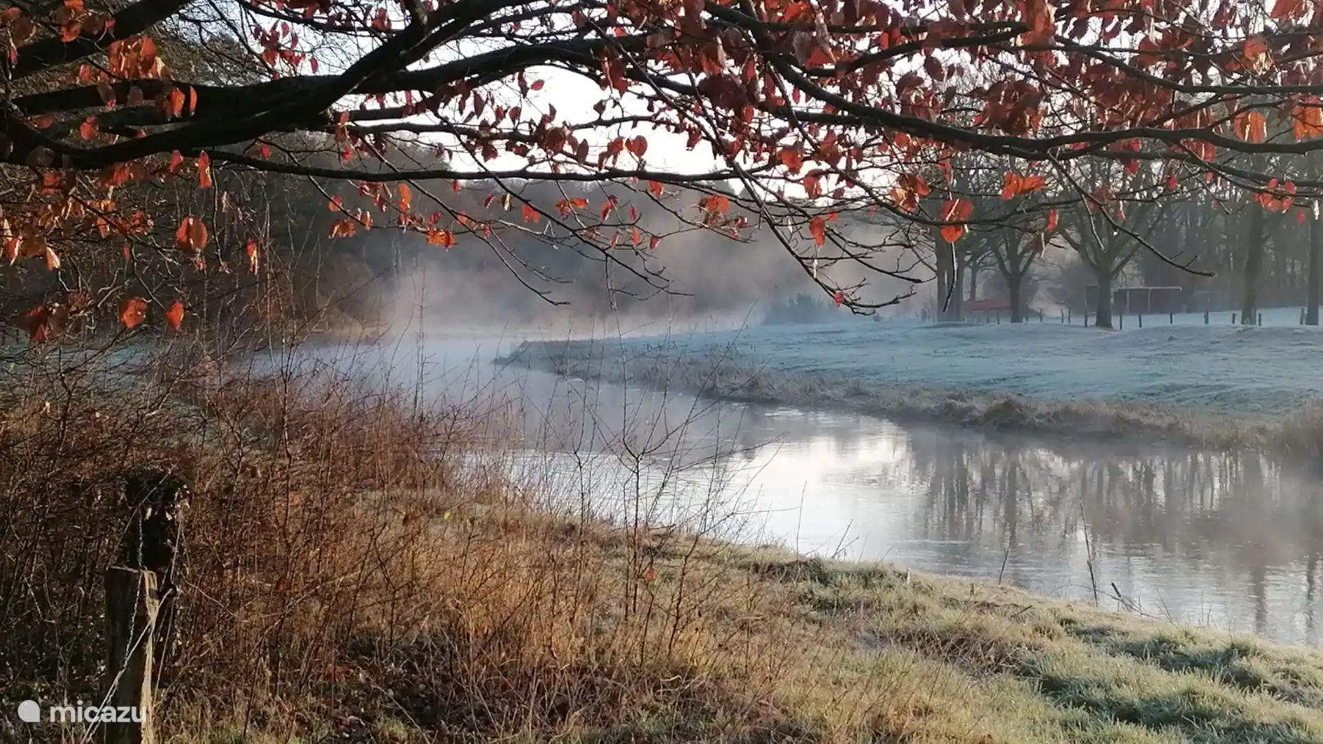 Regge en Ommen | Alquiler chalet de Zonnehof en Buitenplaats de Berghorst, en Stegeren, cerca de Ommen, Overijssel 
