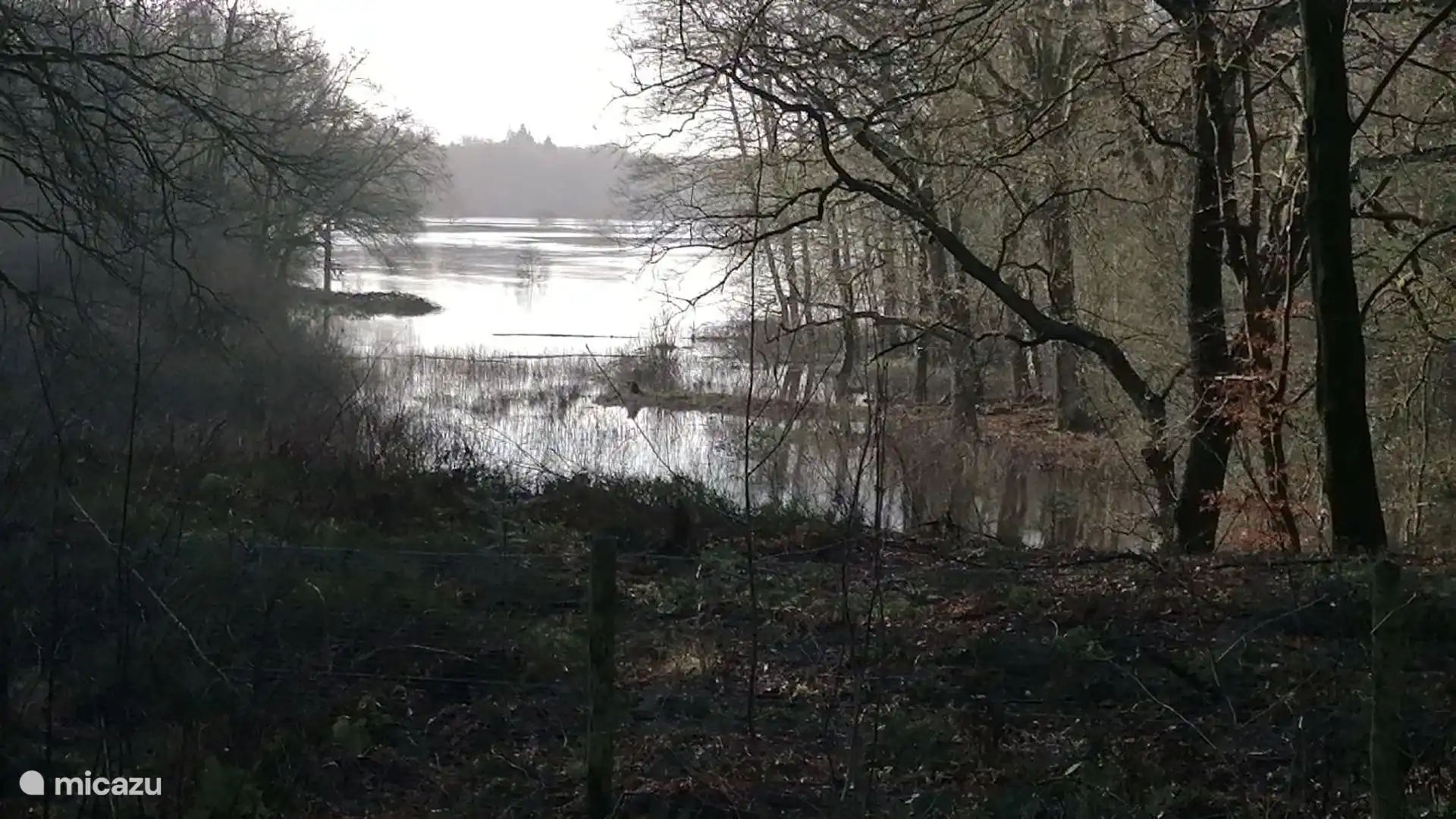 Naturaleza cerca de Stegeren | Alquiler chalet de Zonnehof en Buitenplaats de Berghorst, en Stegeren, cerca de Ommen, Overijssel 