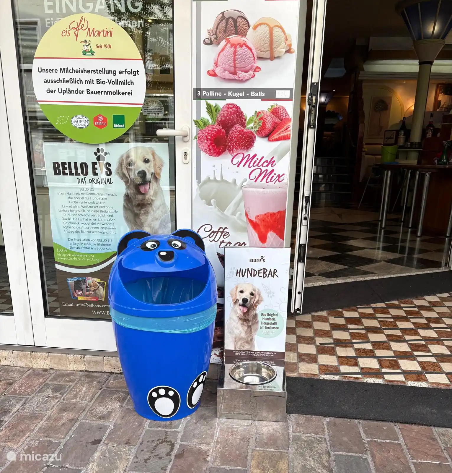 IJs voor je hond, een echte traktatie voor je viervoeter tijdens de warme zomermaanden.