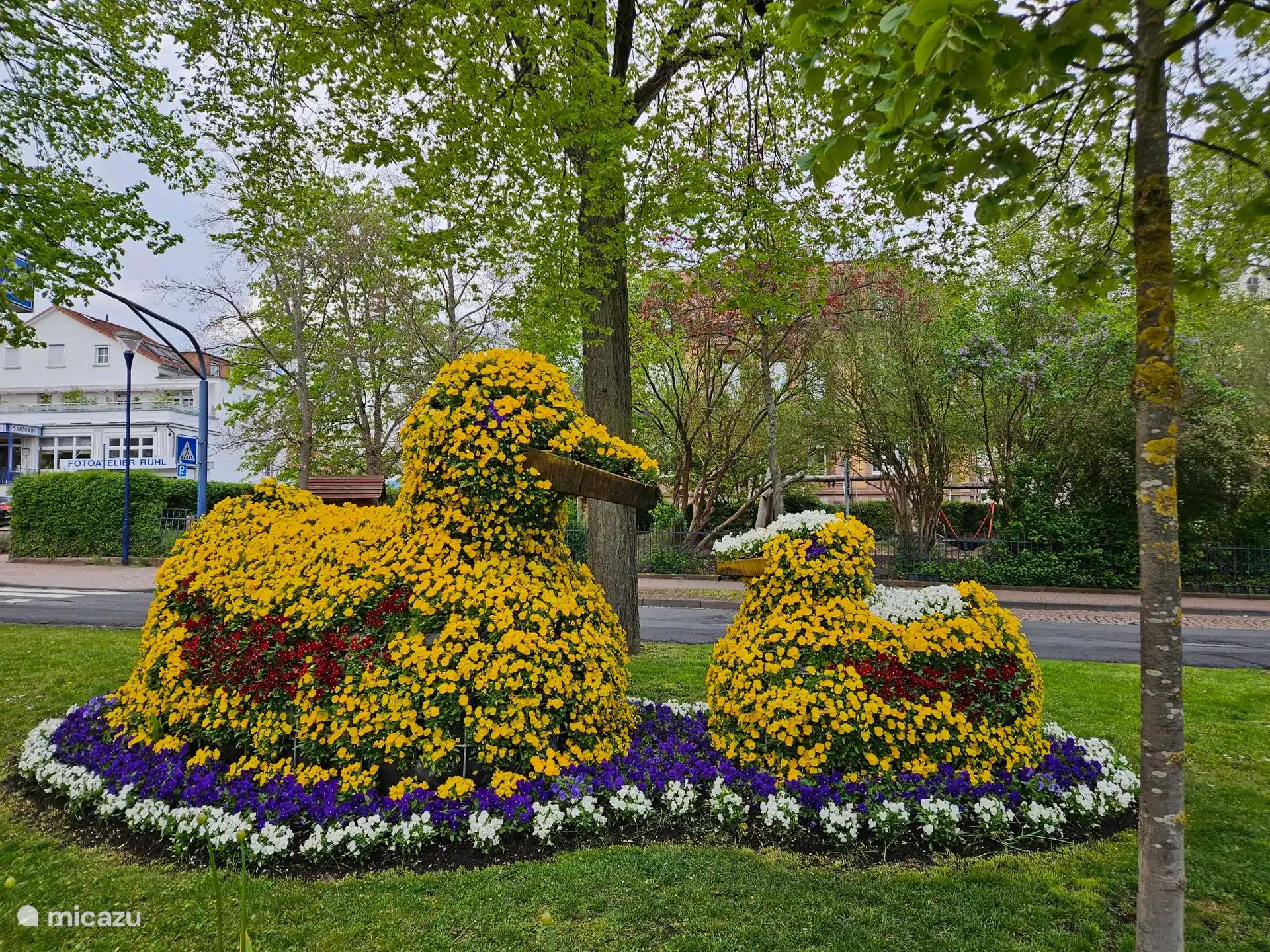 Eenden zijn opgemaakt met verse gele bloemen met vleugels van rode bloemen tijdens het bloemenfestival in het voorjaar in Bad Wildungen.