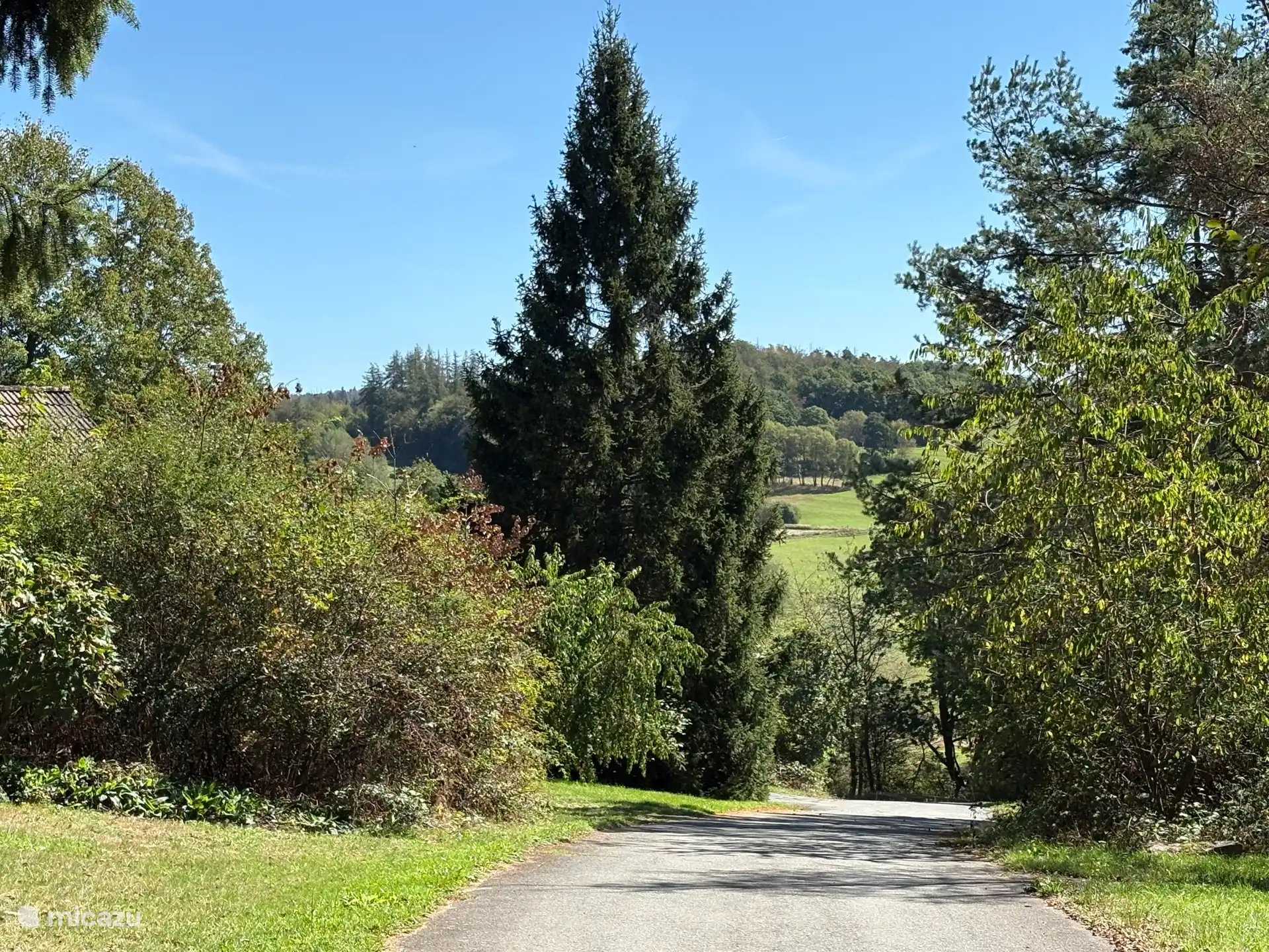 Aanblik bij aankomst van huisje weideblick met fraai vergezicht op de heuvels en bossen van natuurpark kellerwald.
