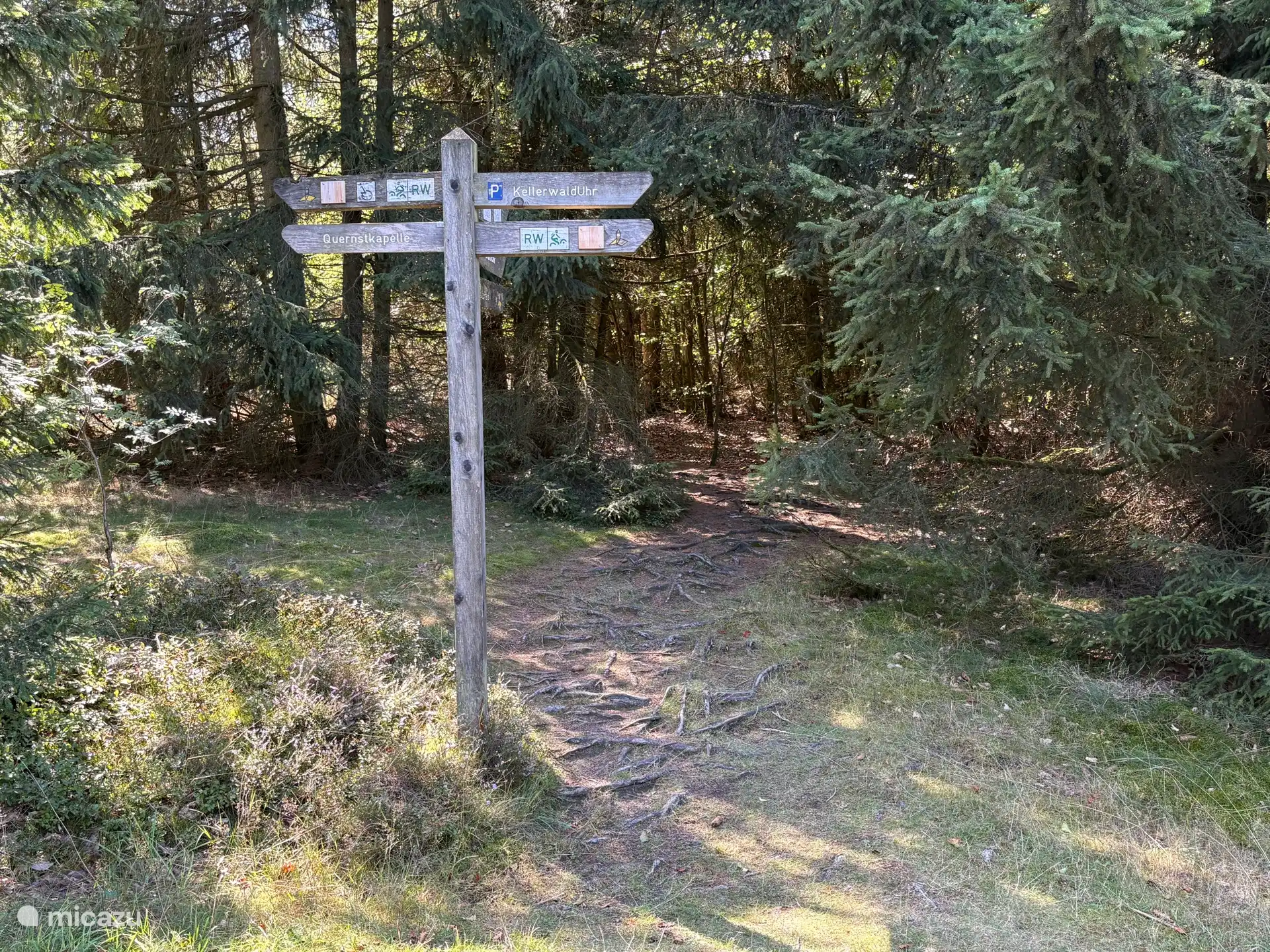 Wandelroutes worden aangegeven op de houten borden met wegbewijzering. Elke route heeft een eigen kleur of kenmerk.
