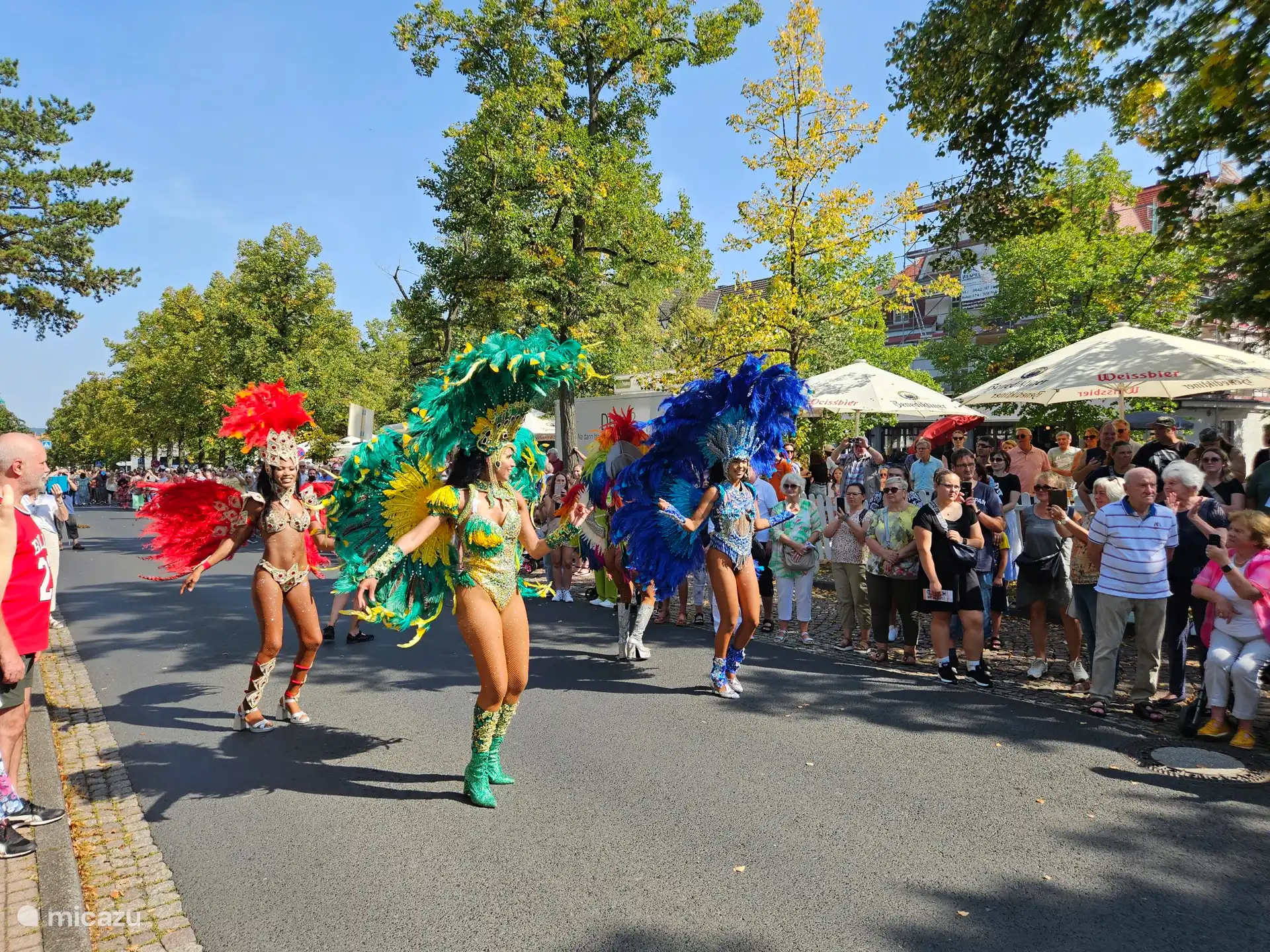 Het sambafestival is een van de terugkerende evenementen van de nabij gelegen stad Bad Wildungen .