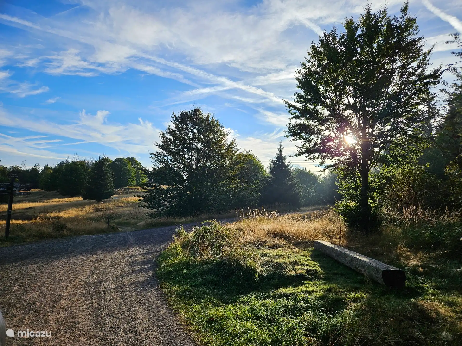 Ochtendzon tijdens een wandeling door de bossen van het natuurpark bij vakantiehuisje Weideblick.