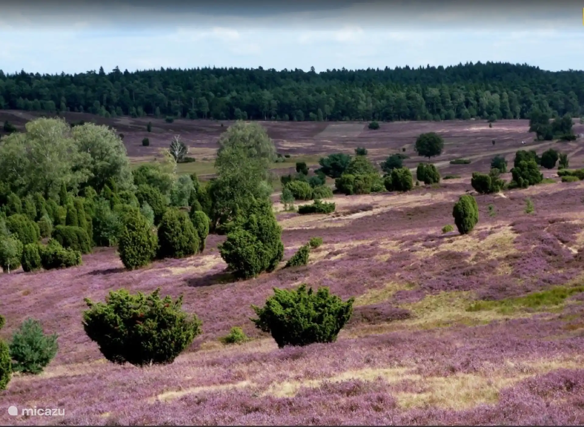 Heide lemelerberg Vechtdalchalet Zonnezicht en Buitenplaats de Berghorst en Stegeren, OV. 
