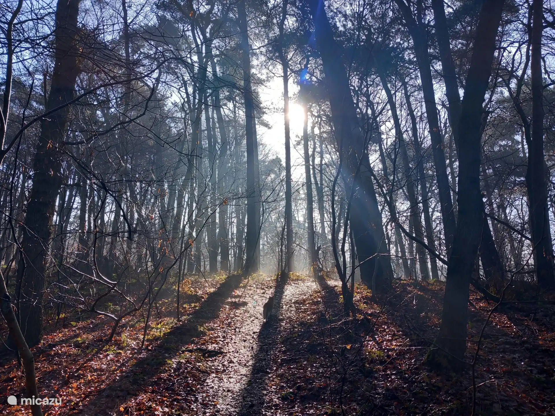 Bosques de Ommen. El chalet Vechtdal Zonnezicht en Buitenplaats de Berghorst en Stegeren, OV. 