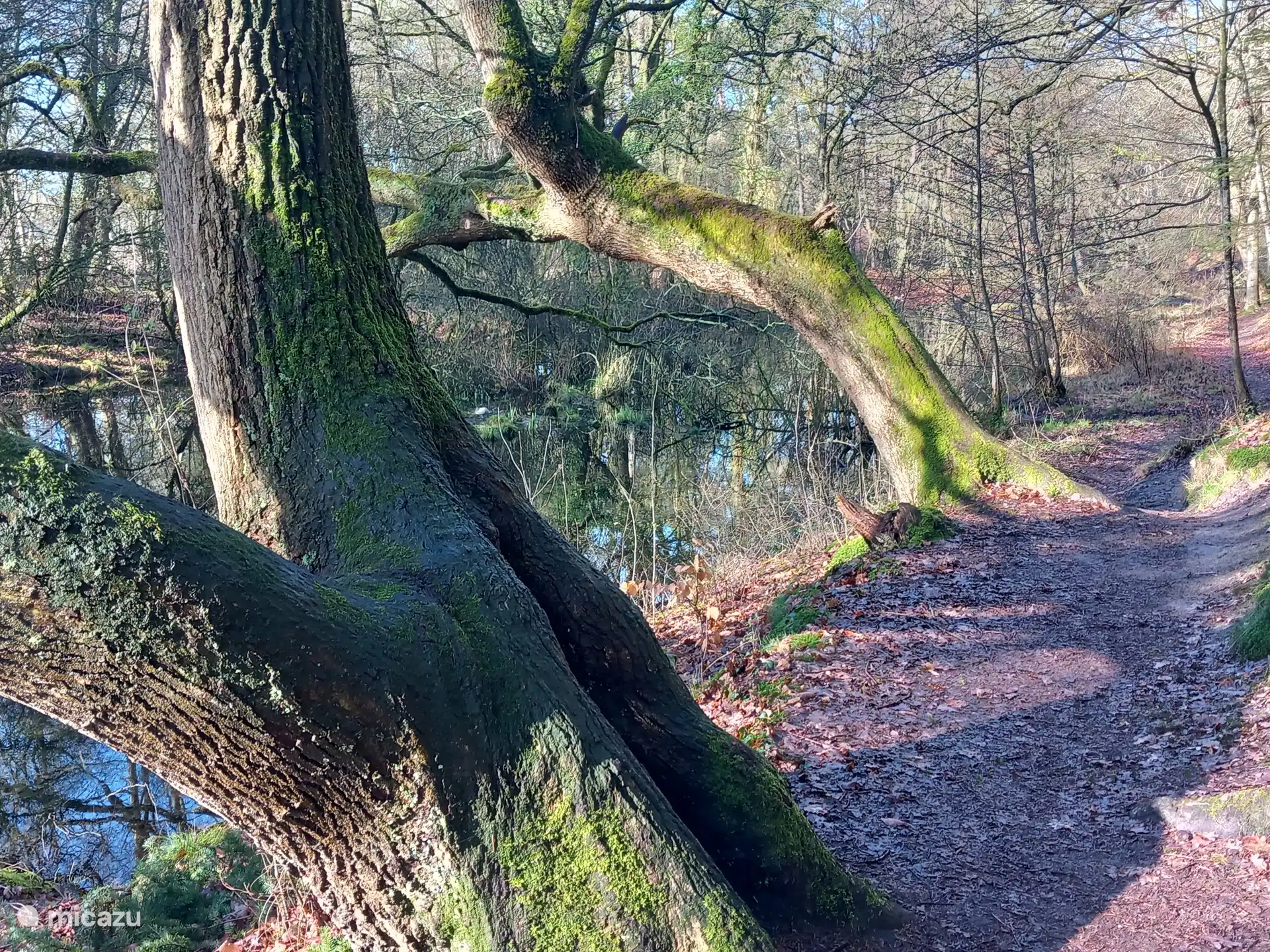 Sendero a lo largo del Regge. El chalet Vechtdal Zonnezicht en Buitenplaats de Berghorst en Stegeren, OV. 