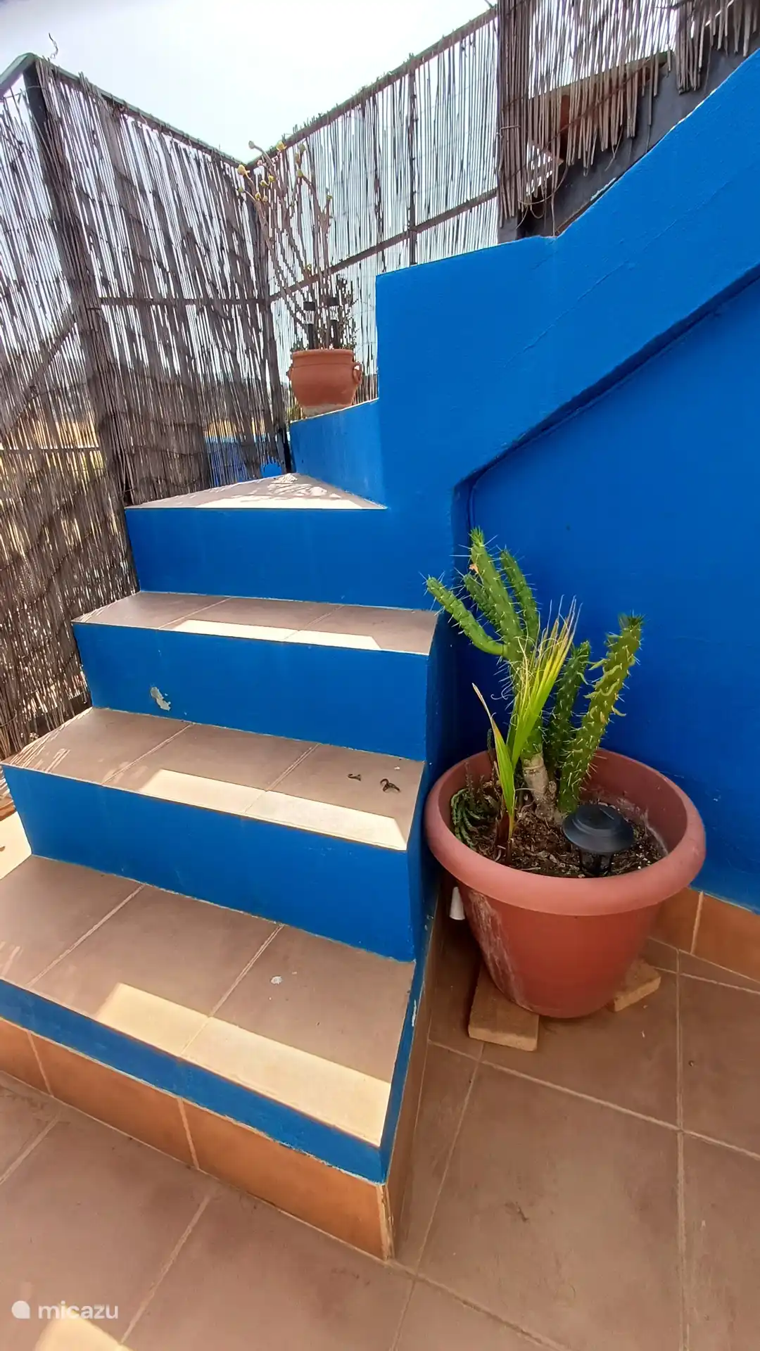 Treppen zur Deckterrasse 