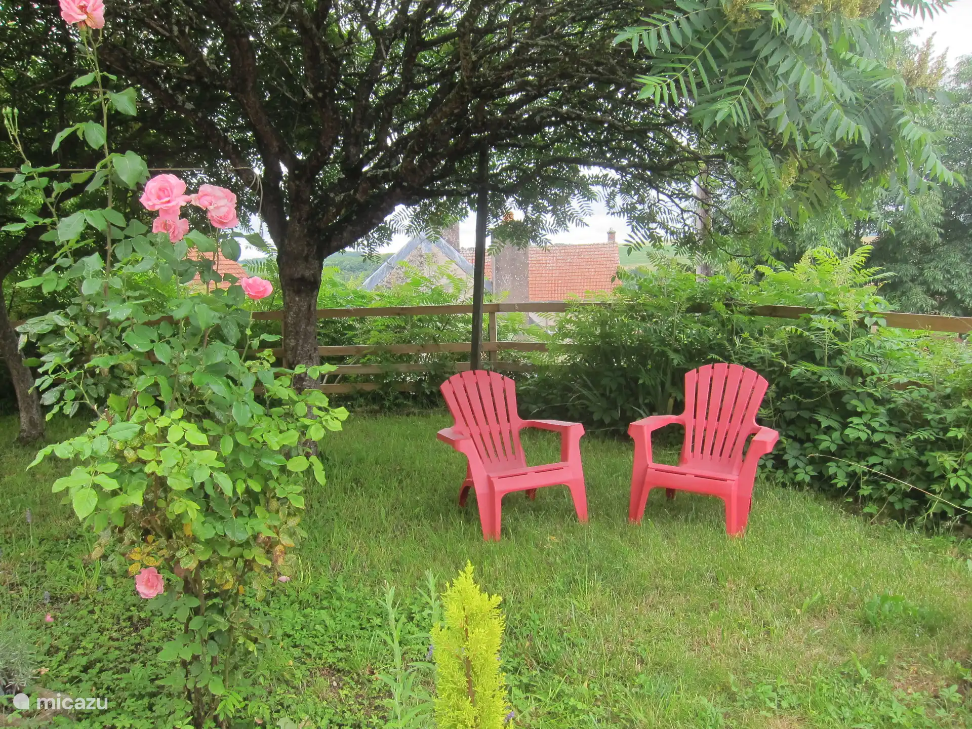 Tuin