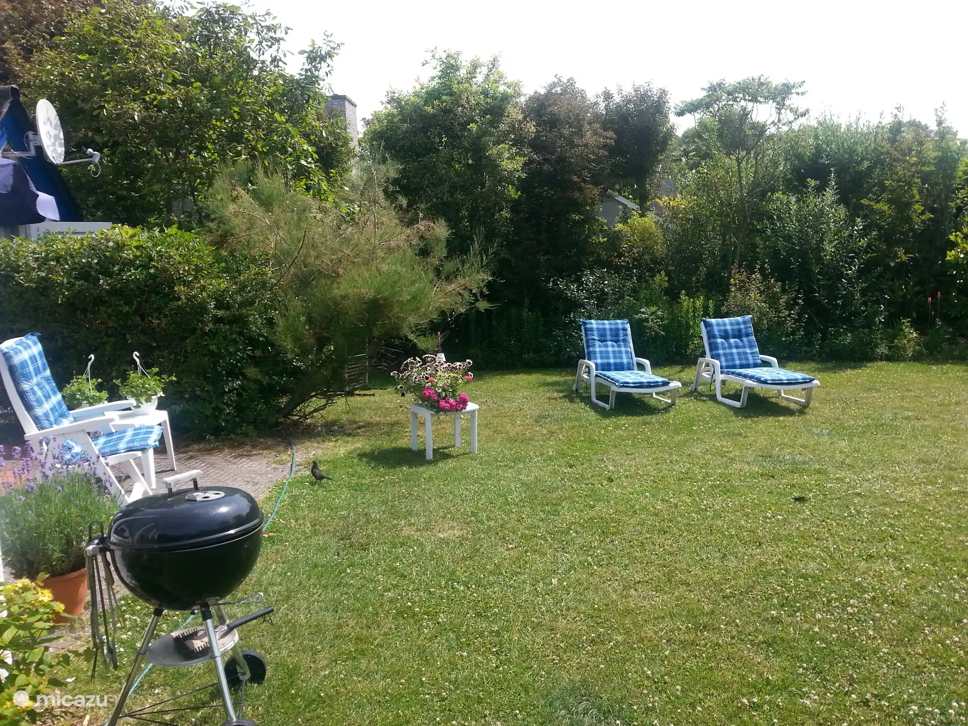 Achtertuin, ca 500 meter