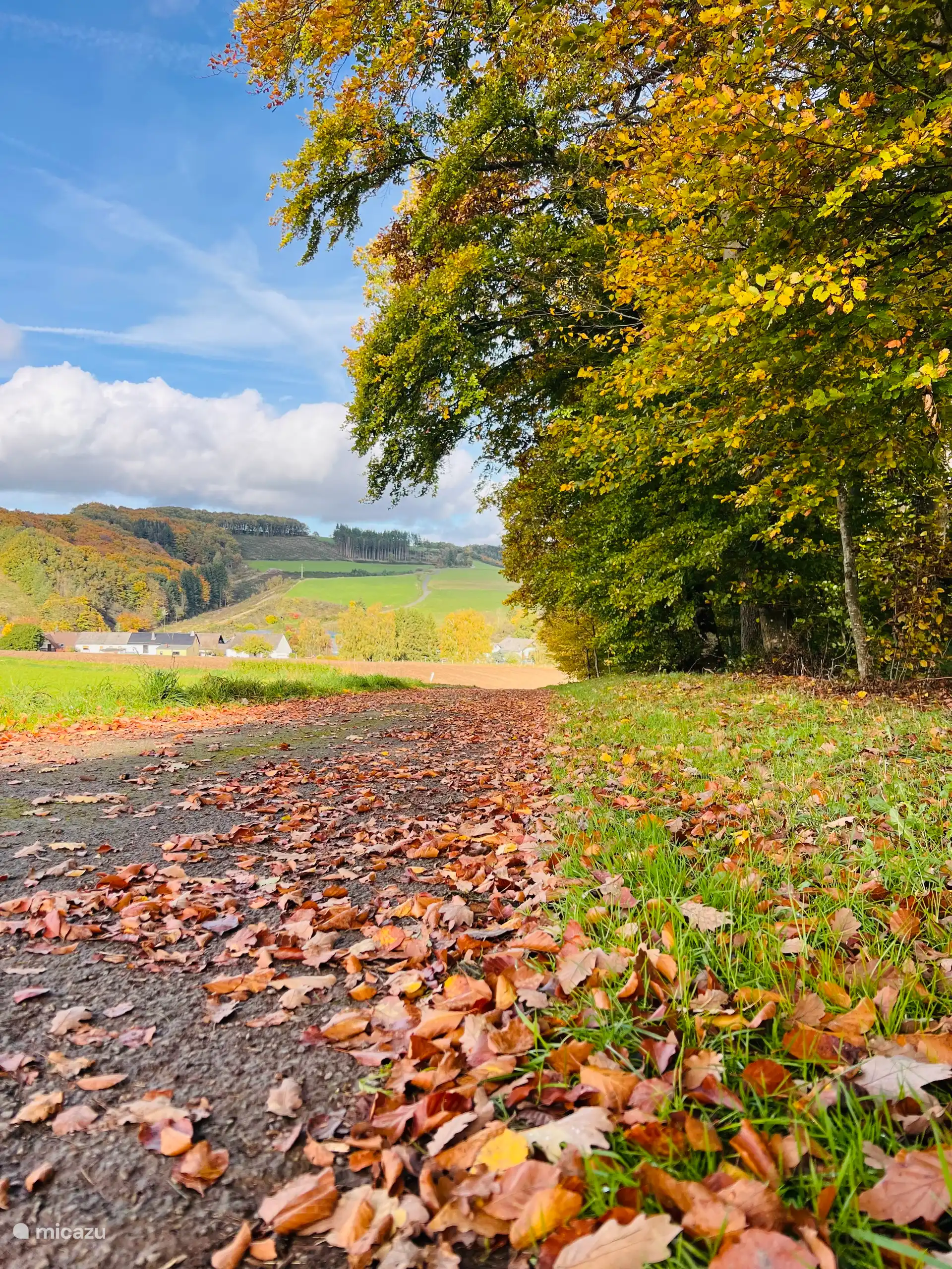 Uitzicht op Halenbach