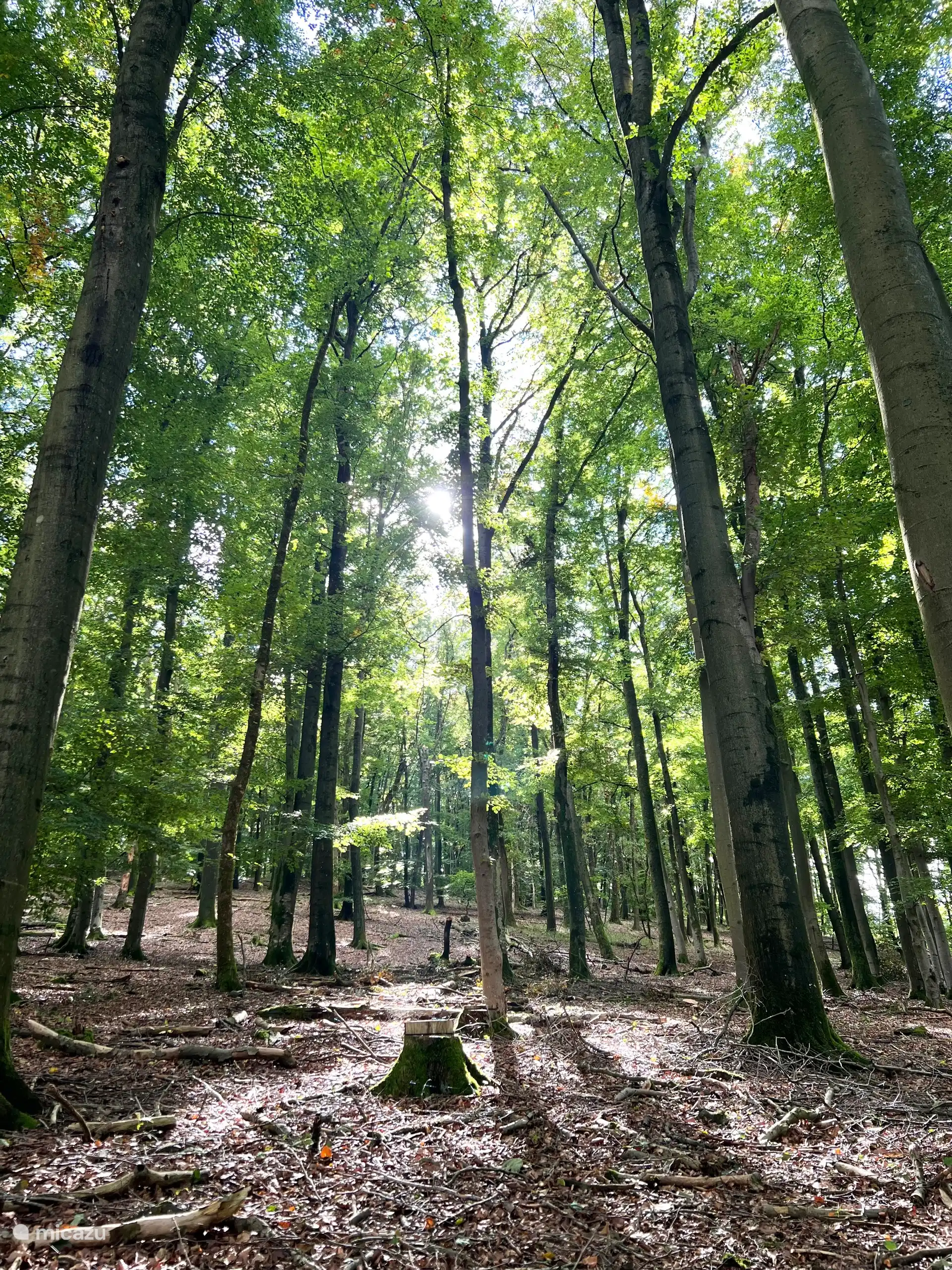 Omgeving