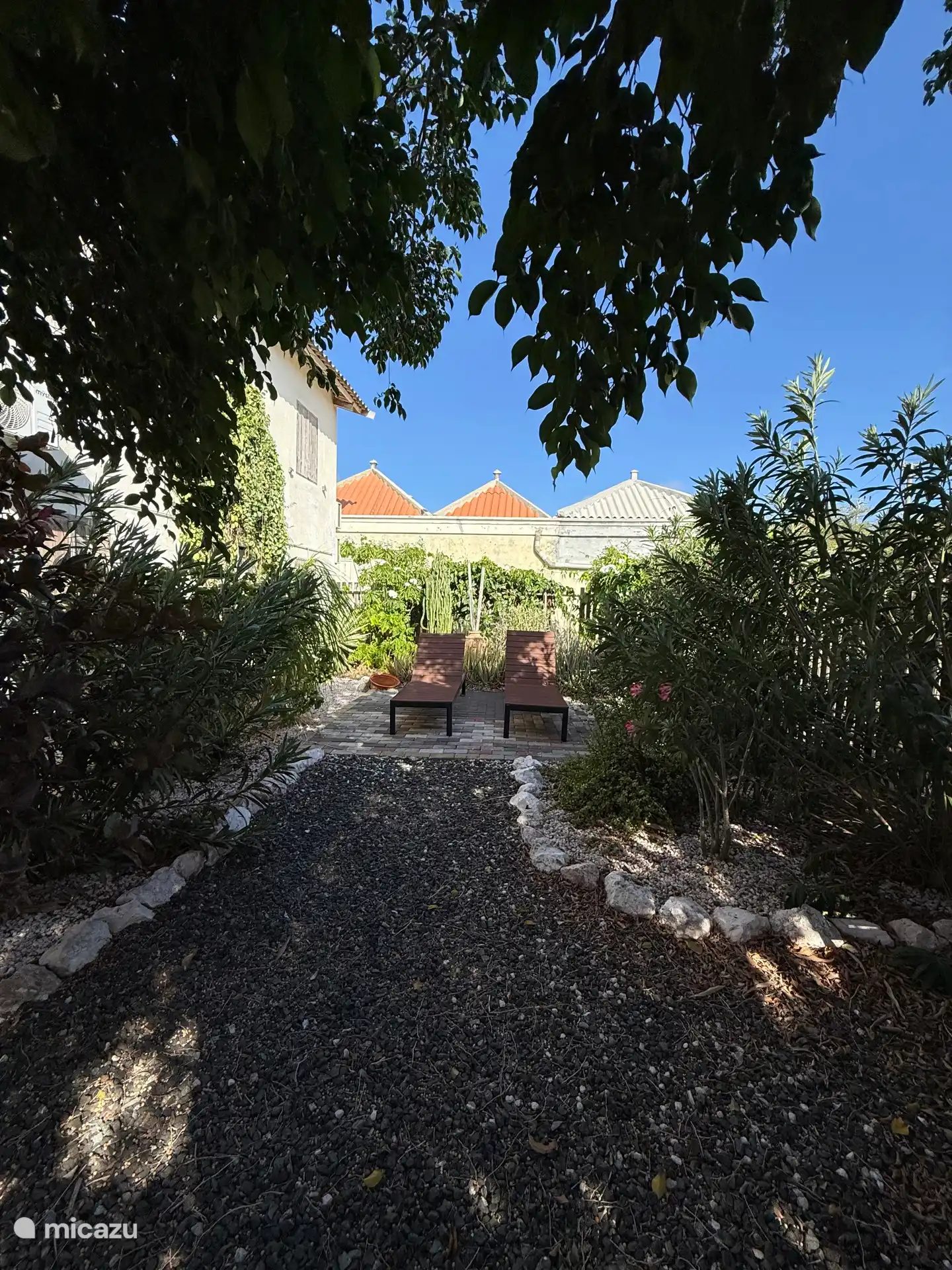 Jardin arrière avec chaises longues