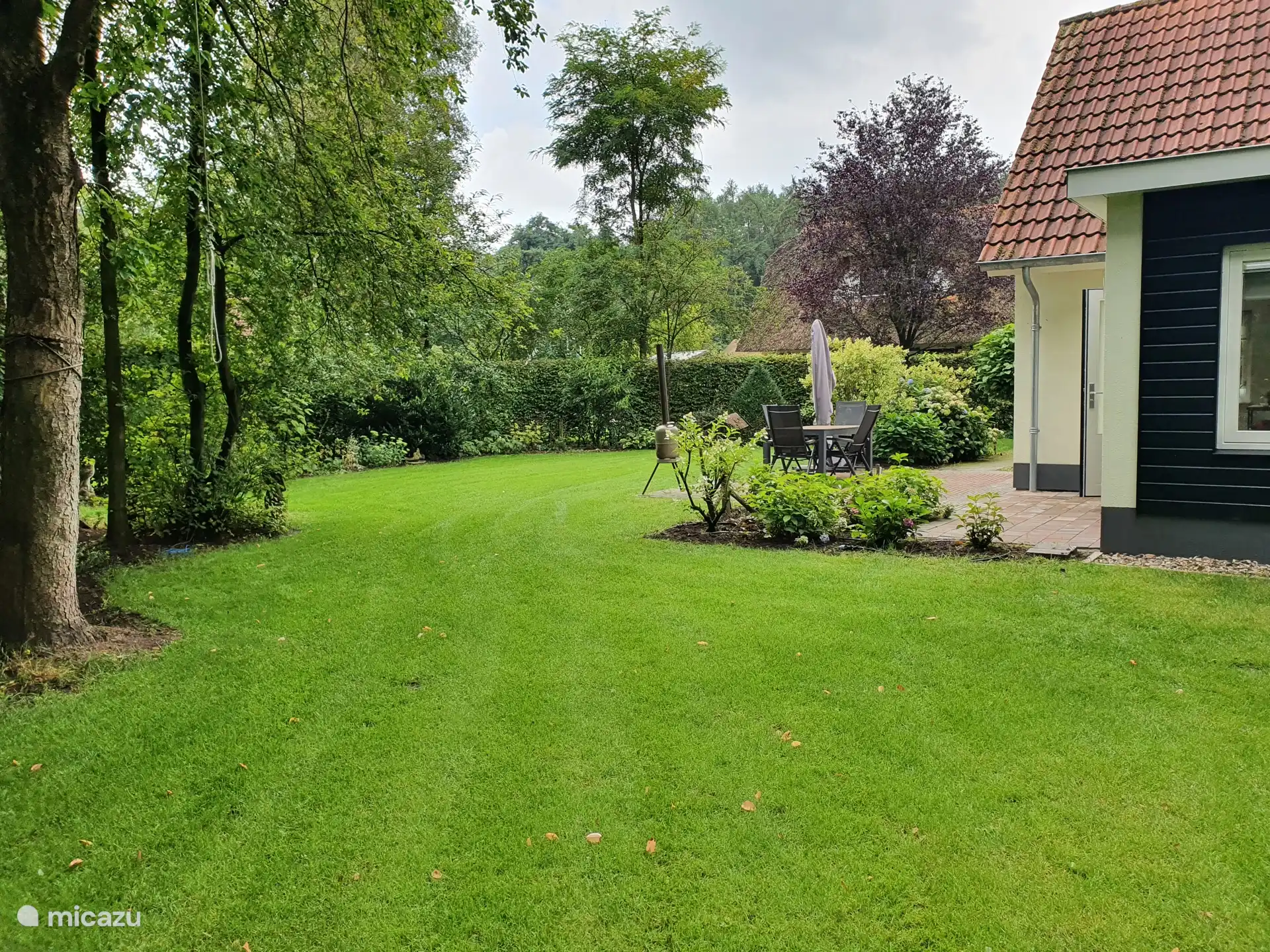 tuin