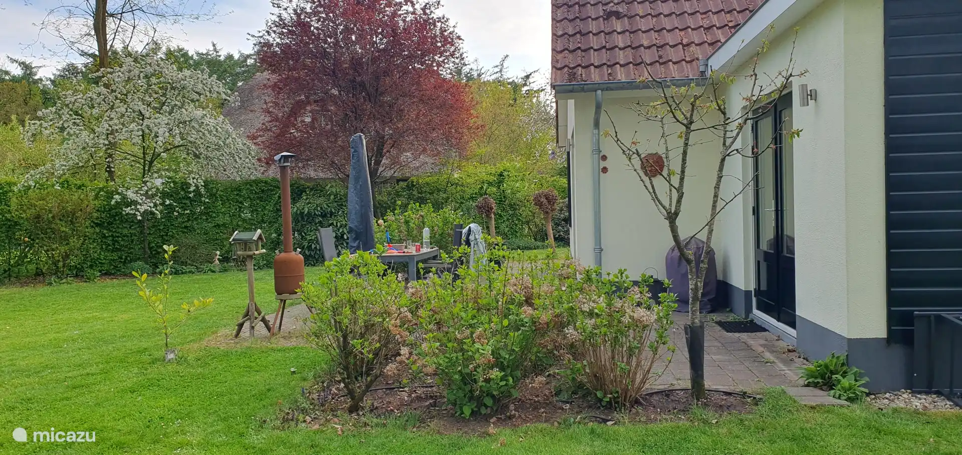 Tuin met terras