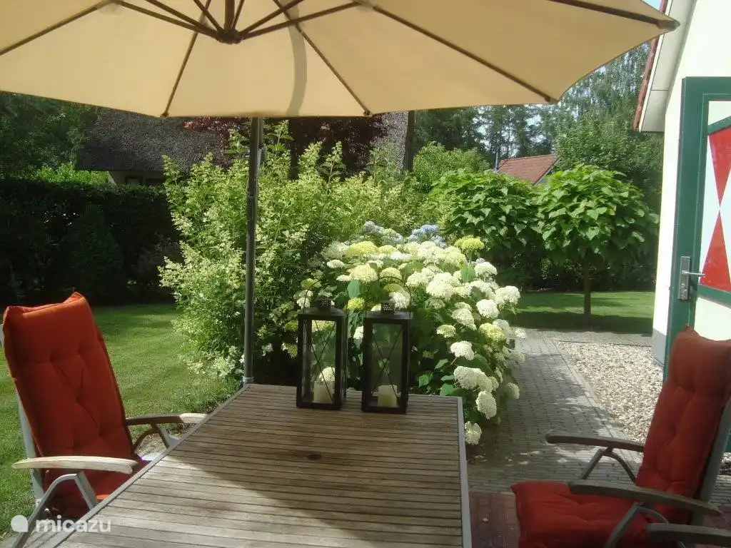 Terras