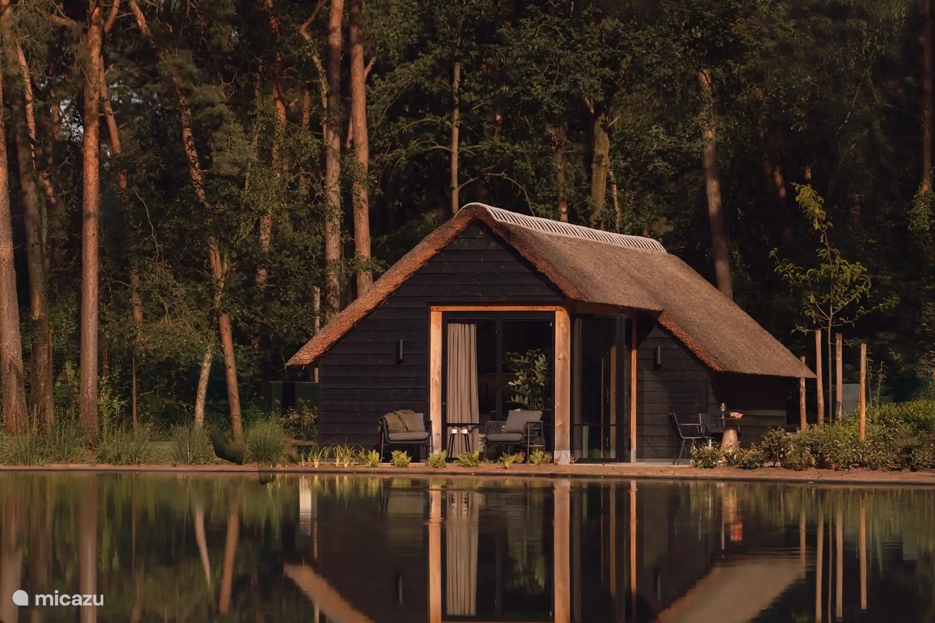 Bosstudio aan zwemvijver | 2 pers. en Países Bajos, Brabante Septentrional, Baarle-Nassau - studio